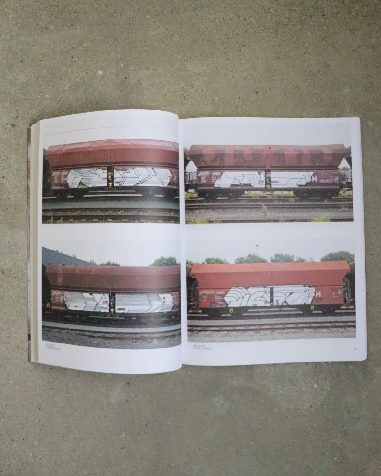 Boris Tellegen: 121/183, 761 photos of red-brown steel freight wagons with a painting on the side