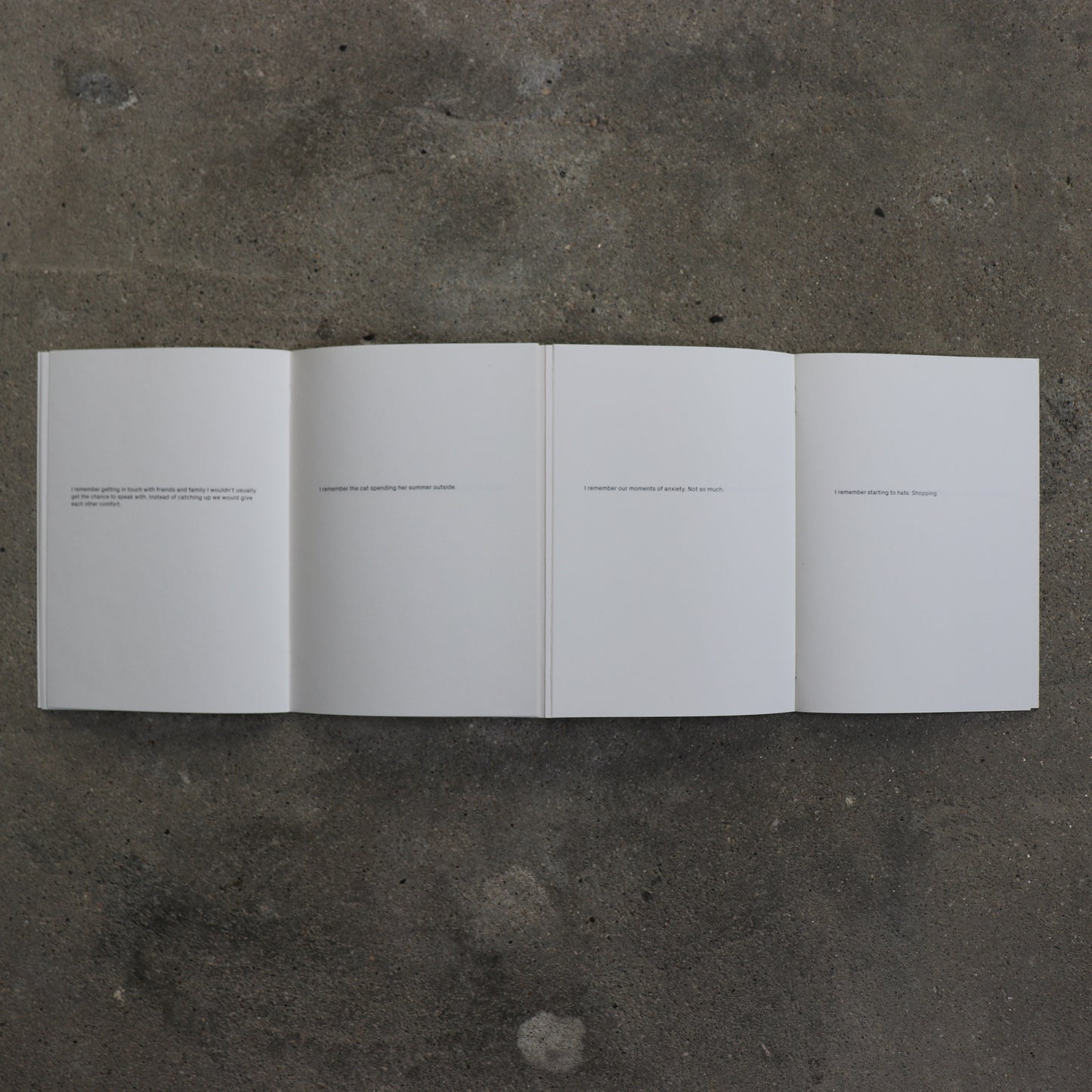 What Remains / Corinne Vionnet, Rahel Zoller