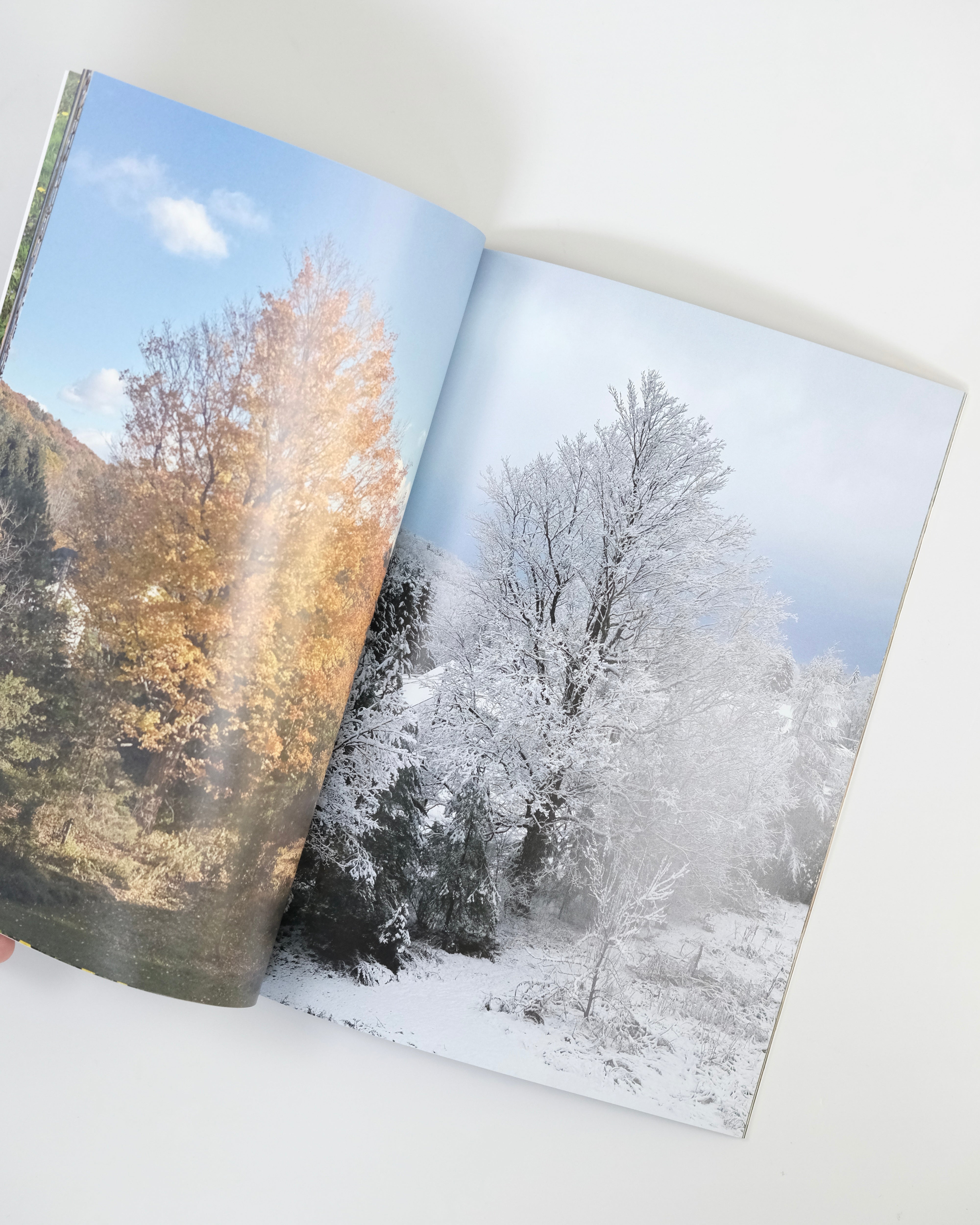 After & Before / Tim Barber