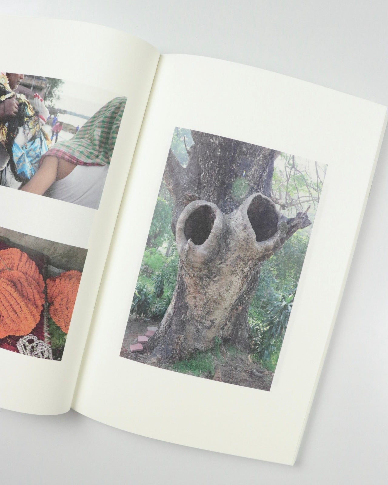 Sunbeam by Nick Sethi