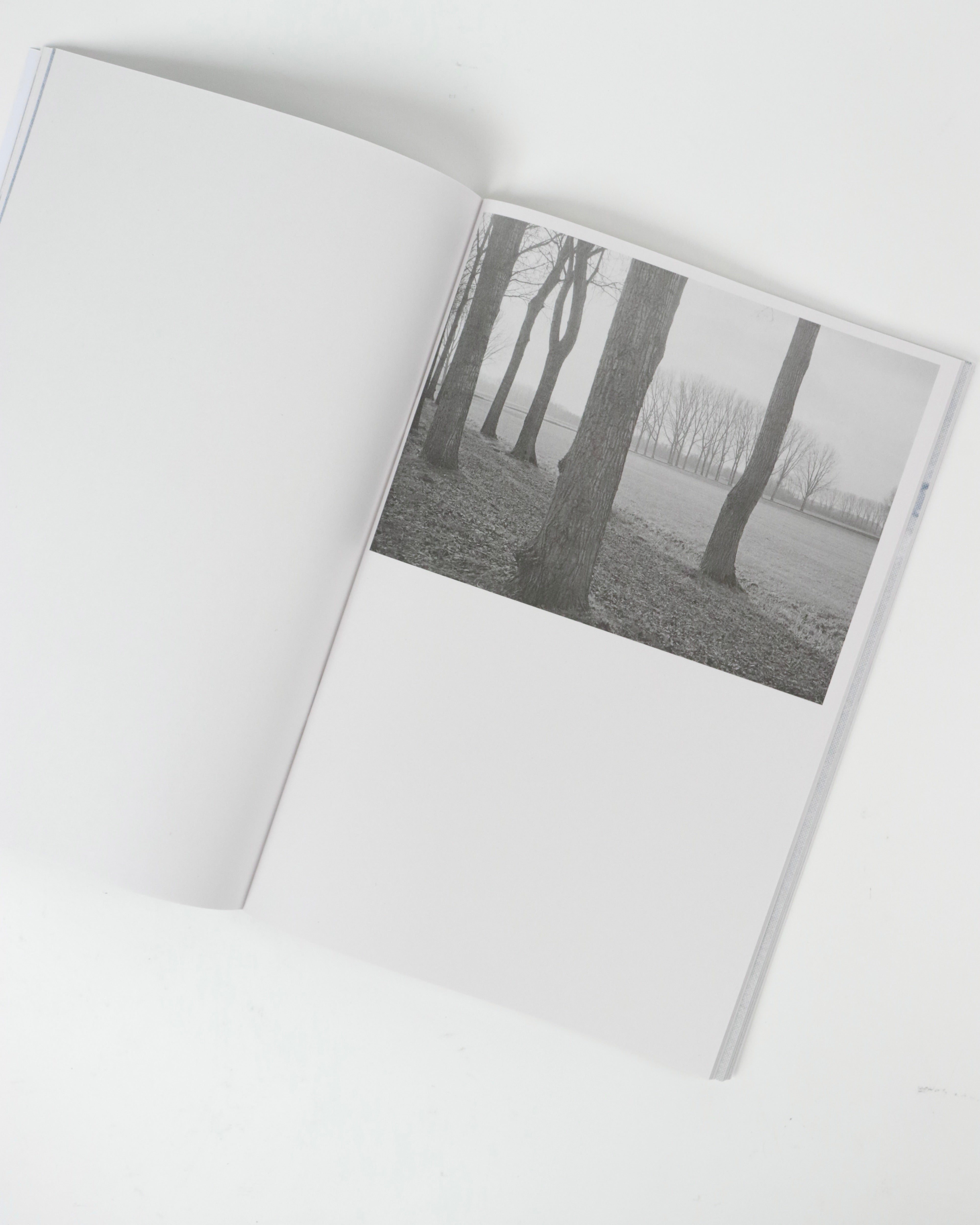 Jordi de Vetten- Contouren