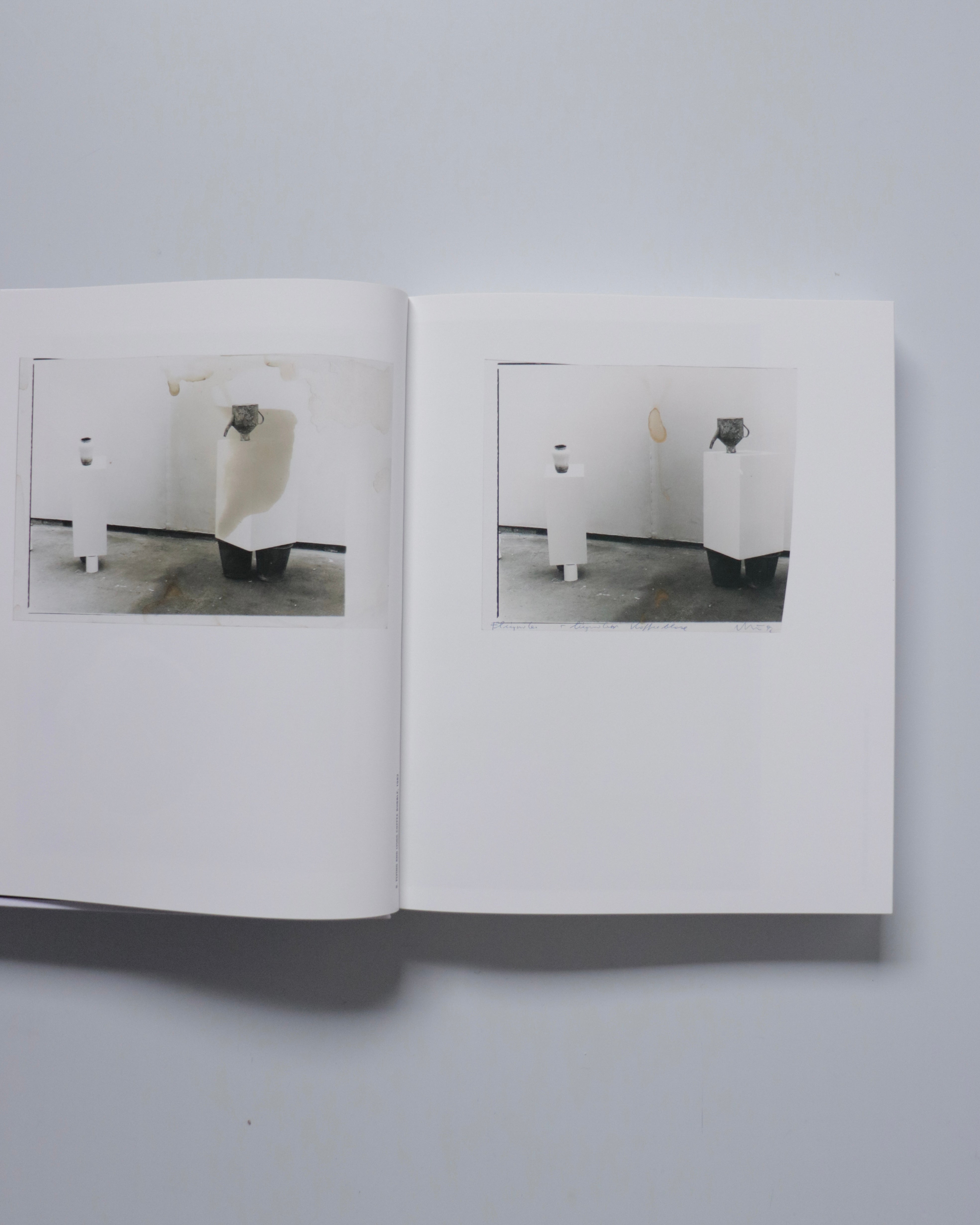 Erwin Wurm Photographs