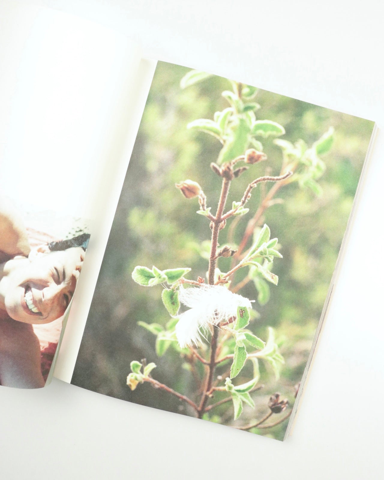 Ibiza Memories / Henry Roy