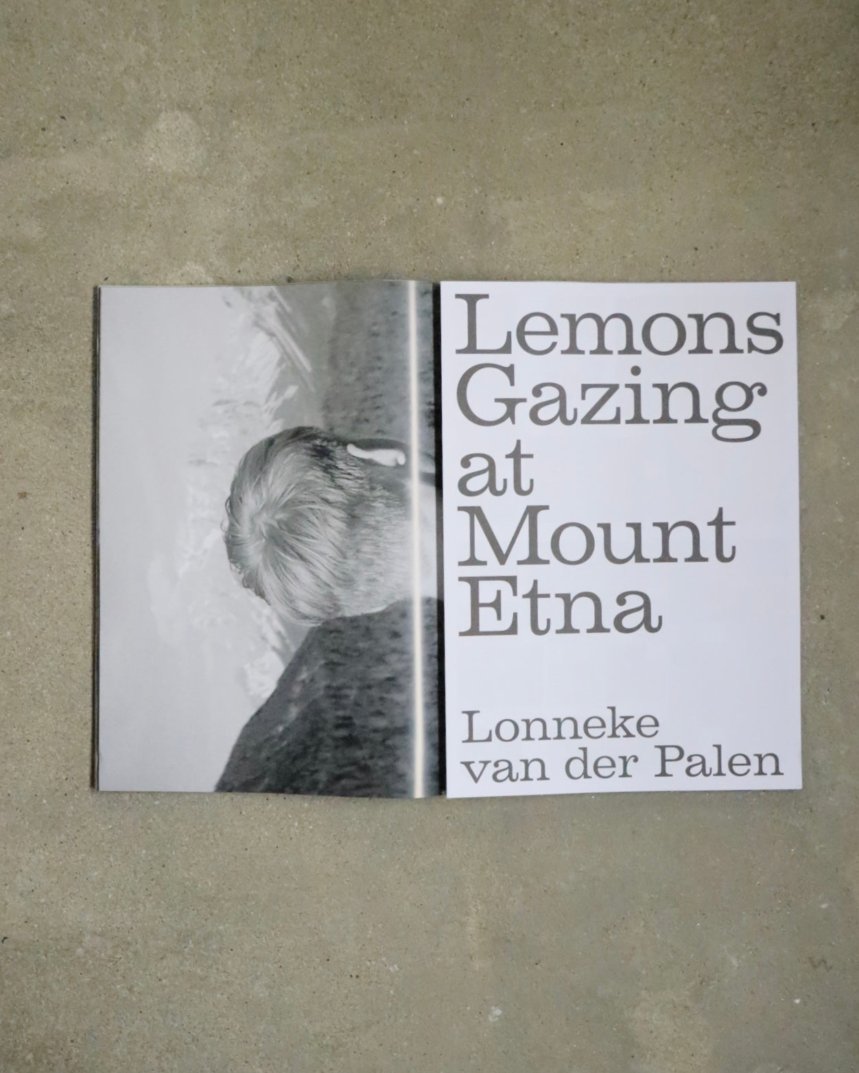 Lonneke van der Palen-Lemons Gazing at Mount Etna