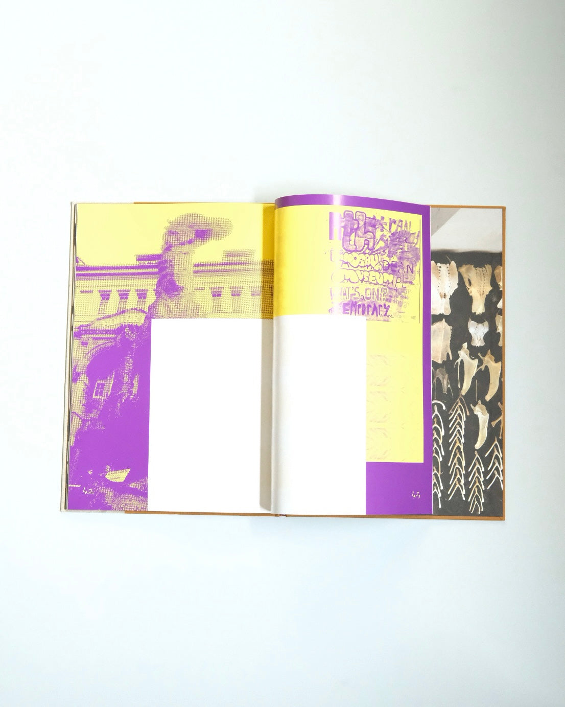 Diplodoclus 2014–2021 / LPPL with Åbäke