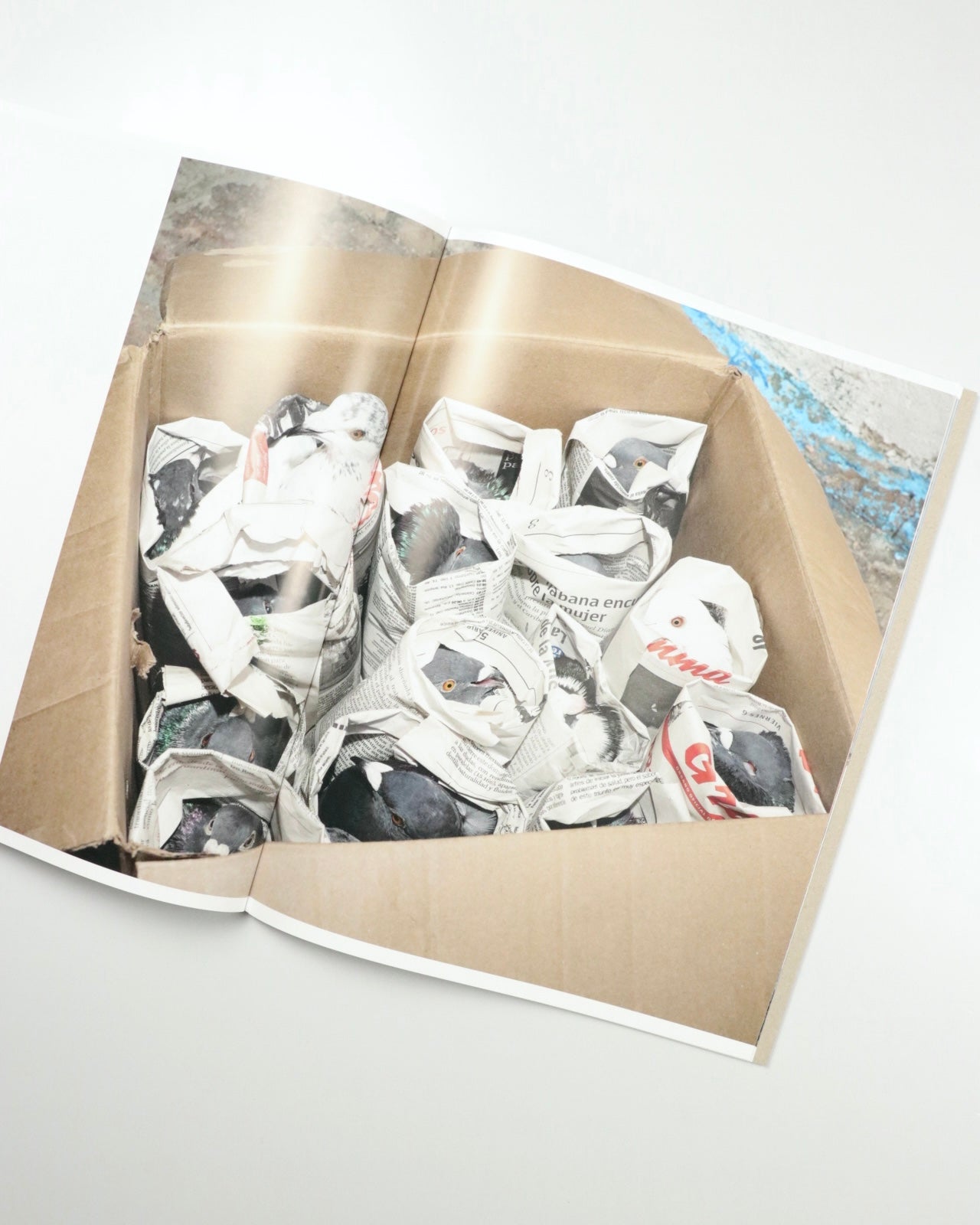 Picadero by Carlos Jaramillo