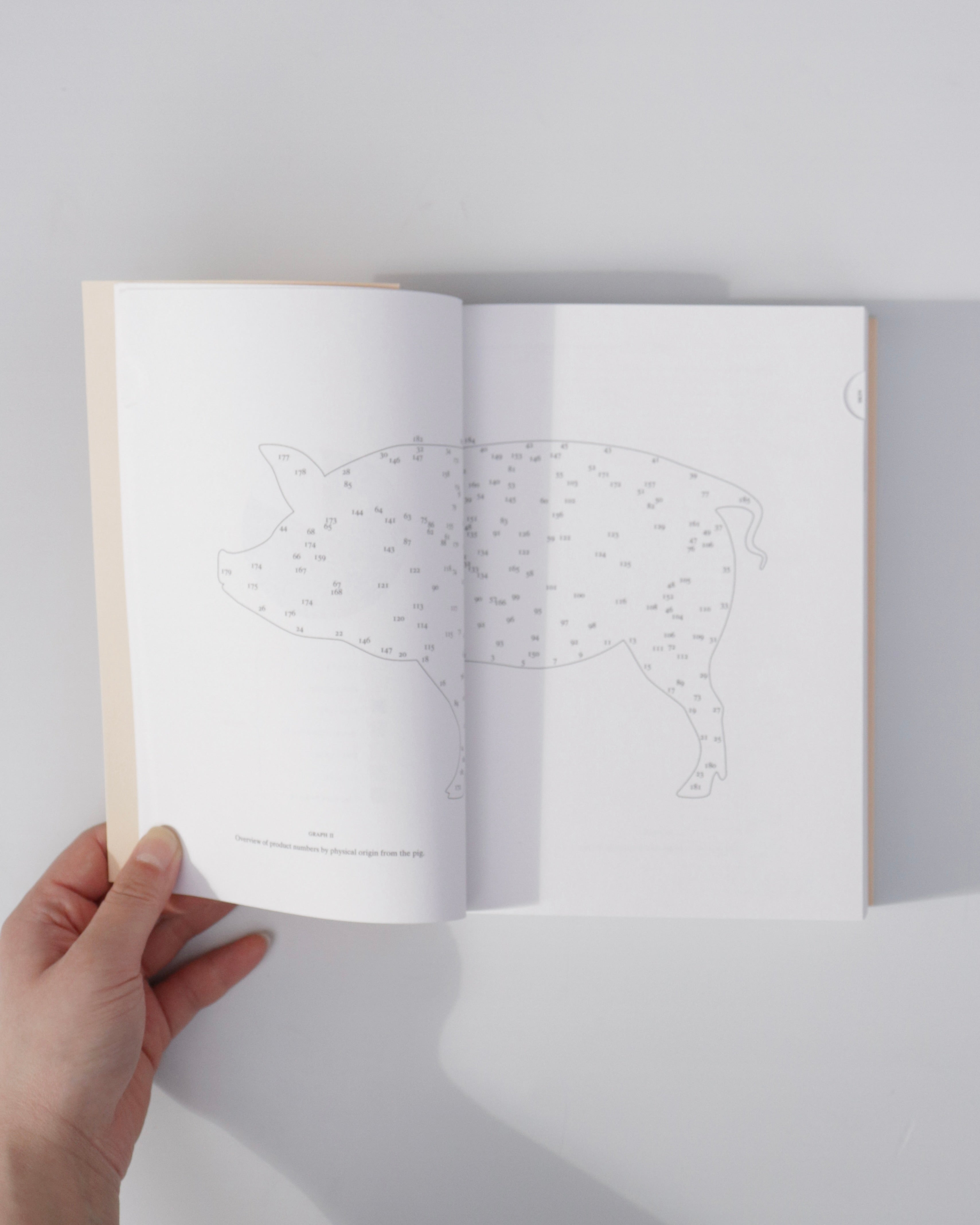 Pig 05049 / Christien Meindertsma