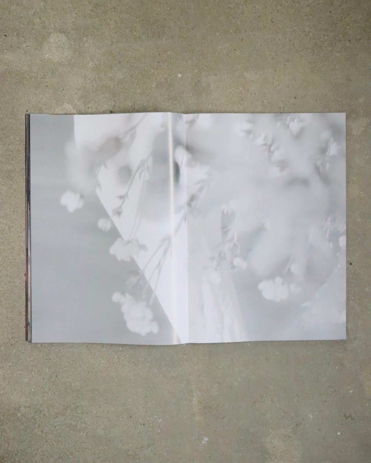 Lonneke van der Palen-Lemons Gazing at Mount Etna