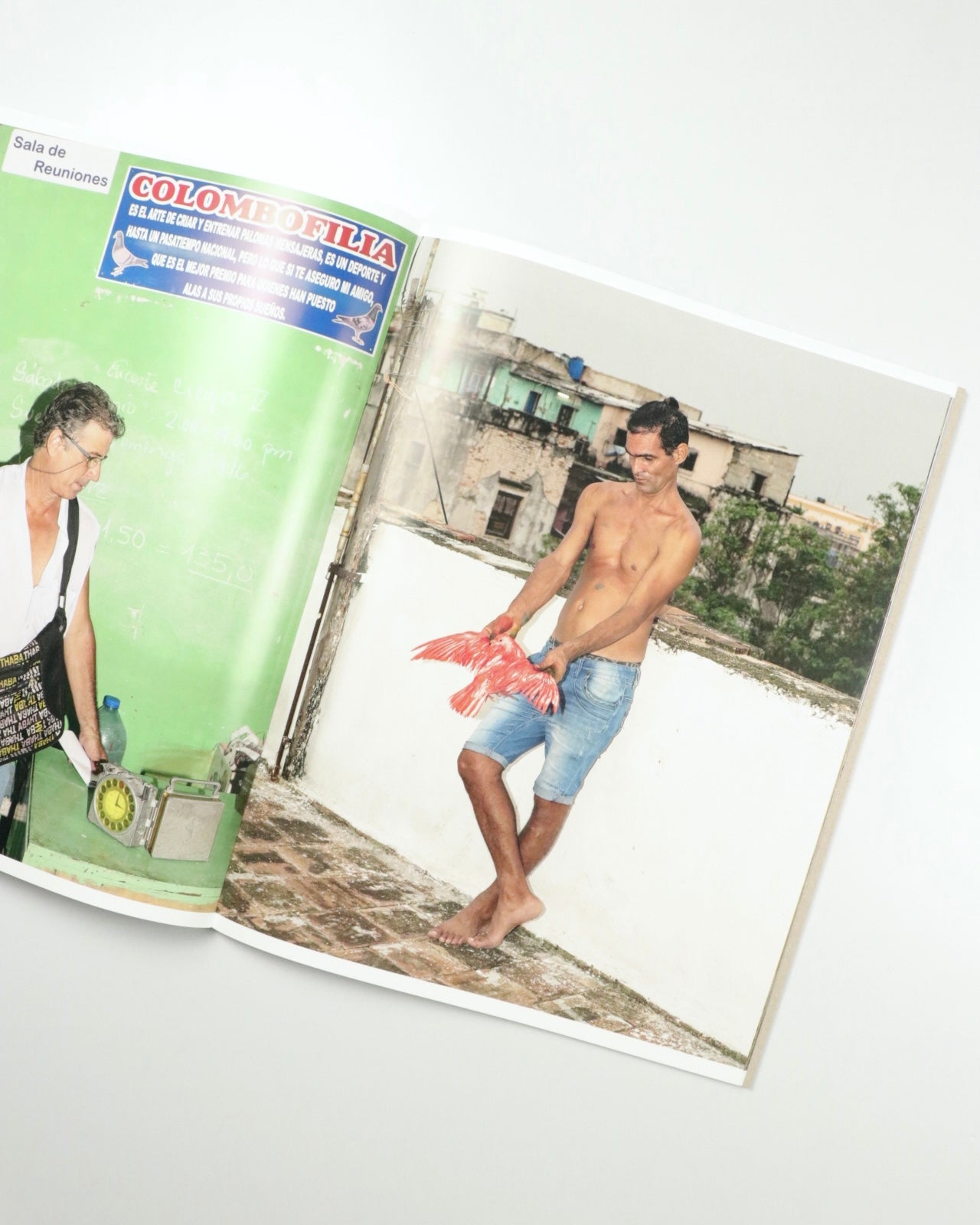 Picadero by Carlos Jaramillo