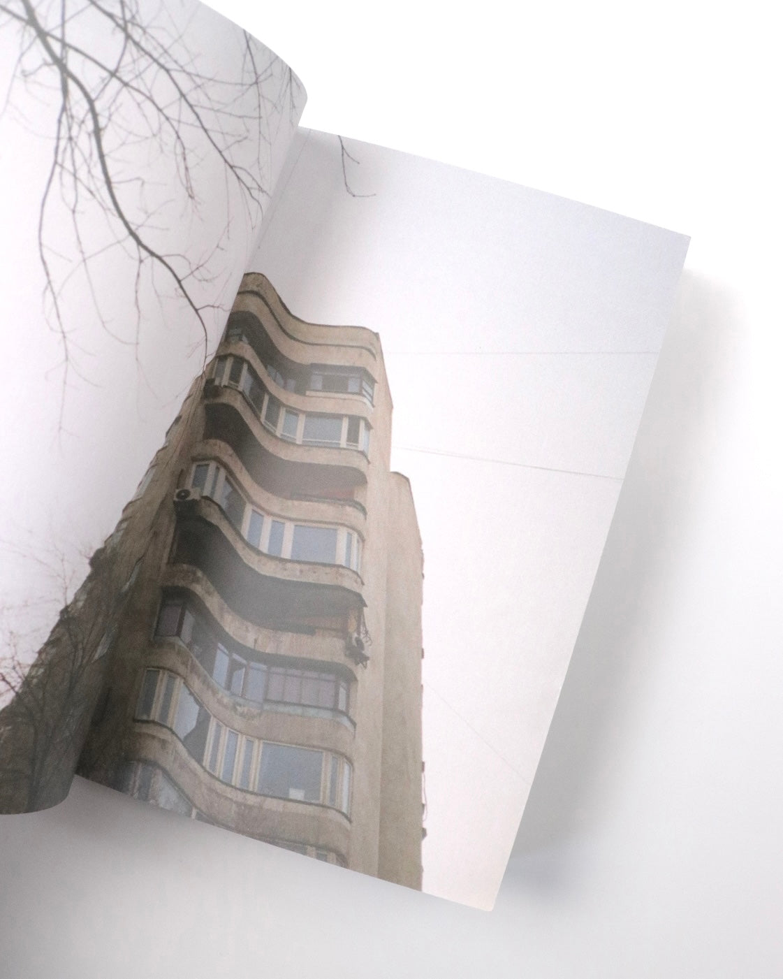 Red Horse Marcus Jefferson & Eden Chau-Morrow