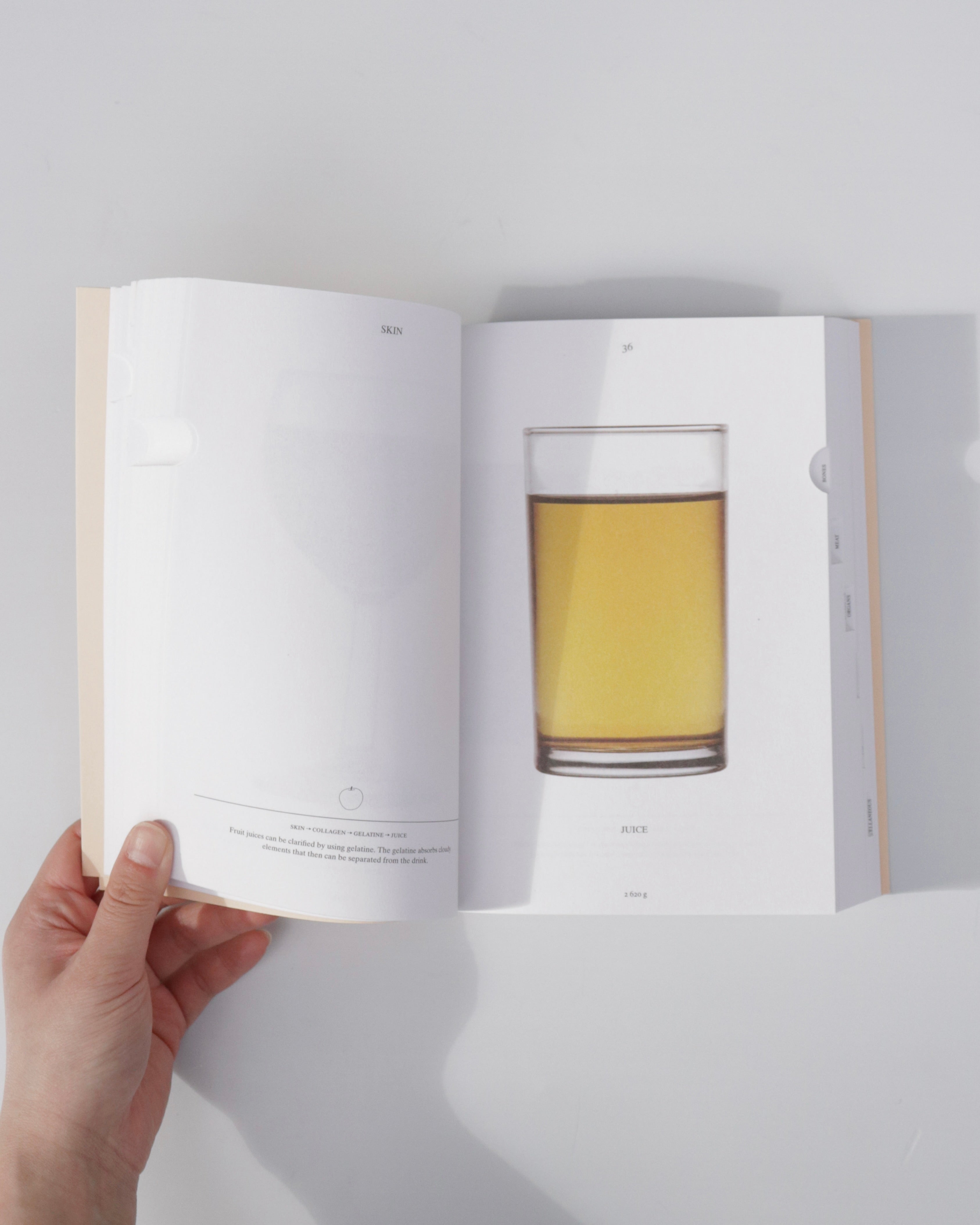 Pig 05049 / Christien Meindertsma