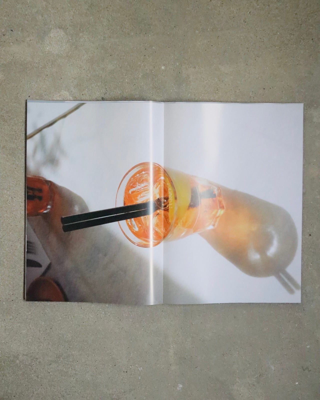 Lonneke van der Palen-Lemons Gazing at Mount Etna