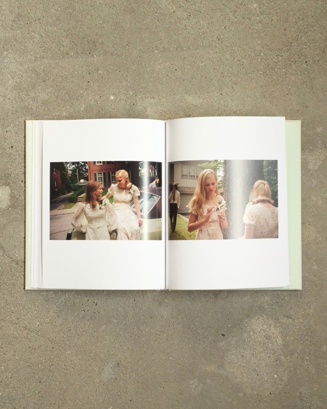 THE VIRGIN SUICIDES by Sofia Coppola