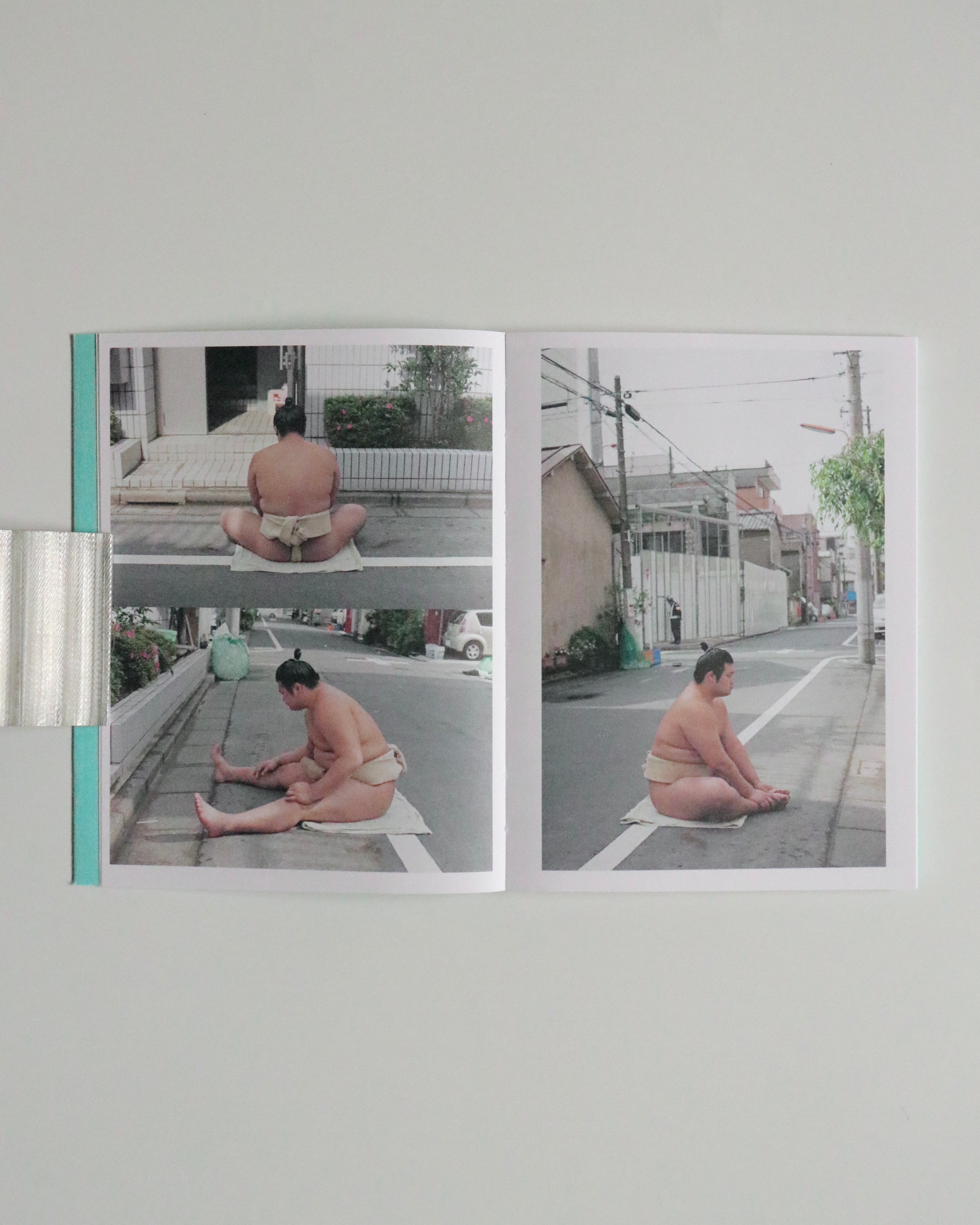 Sumo Judo / Ari Marcopoulos