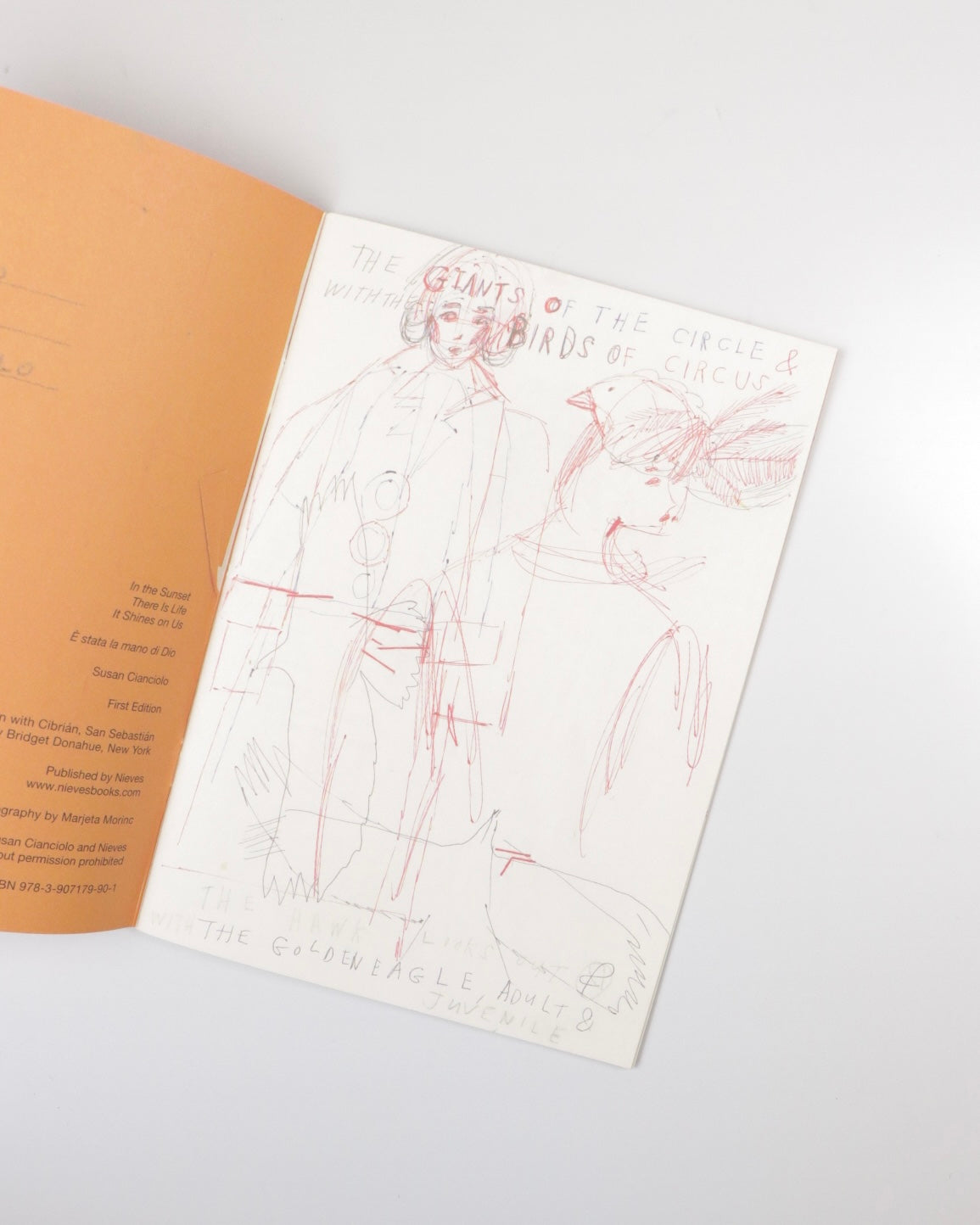 In the Sunset – There Is Life – It Shines on Us/Susan Cianciolo