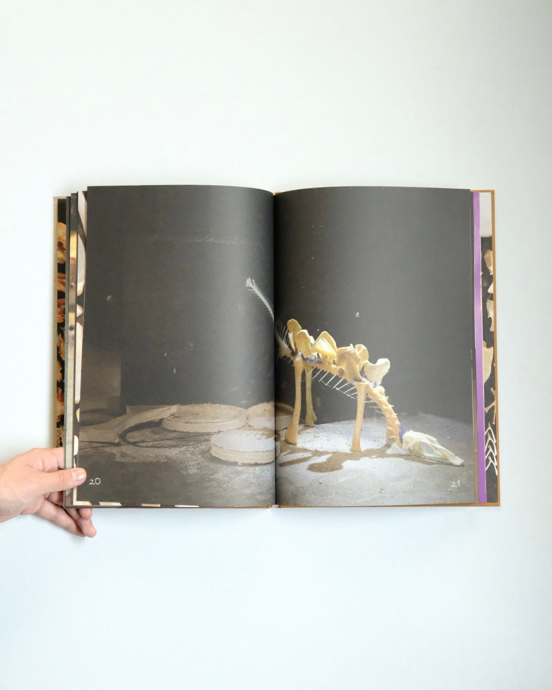 Diplodoclus 2014–2021 / LPPL with Åbäke