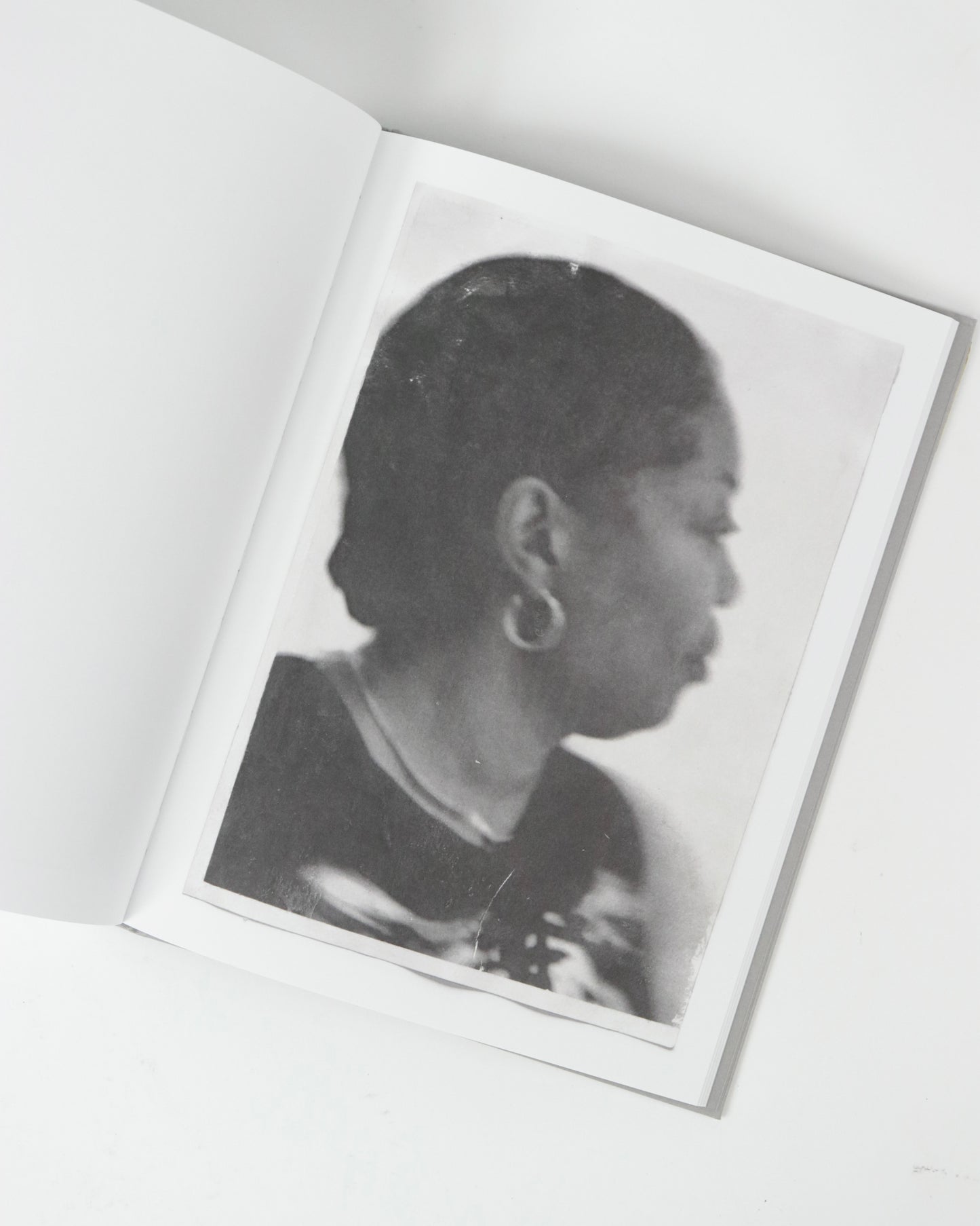 Sandra Brewster-Blur