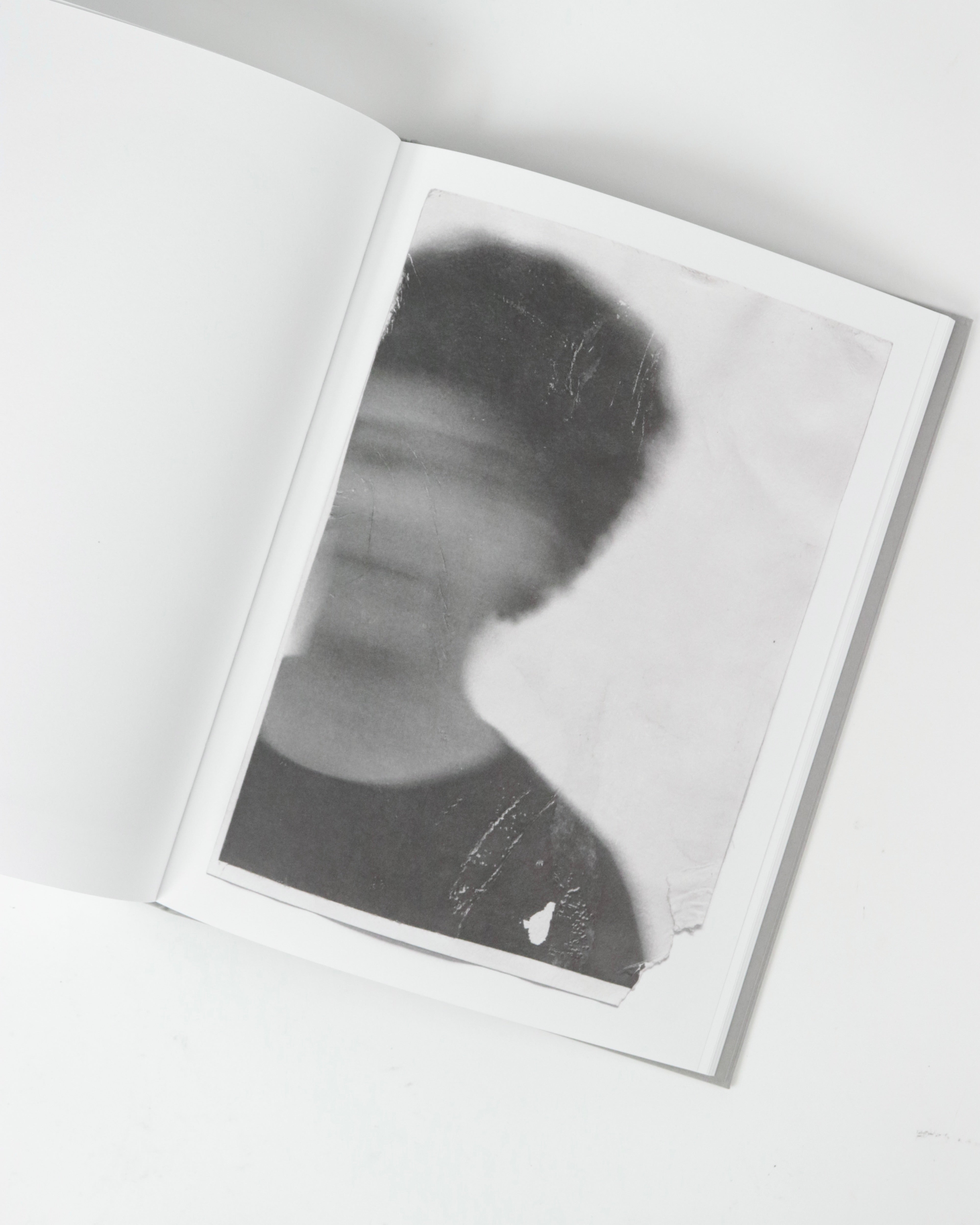 Sandra Brewster-Blur