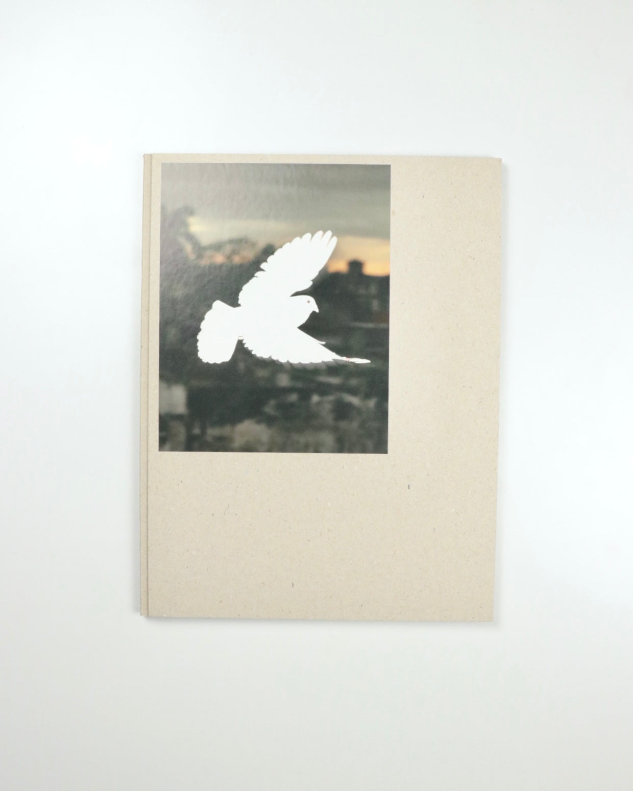 Picadero by Carlos Jaramillo