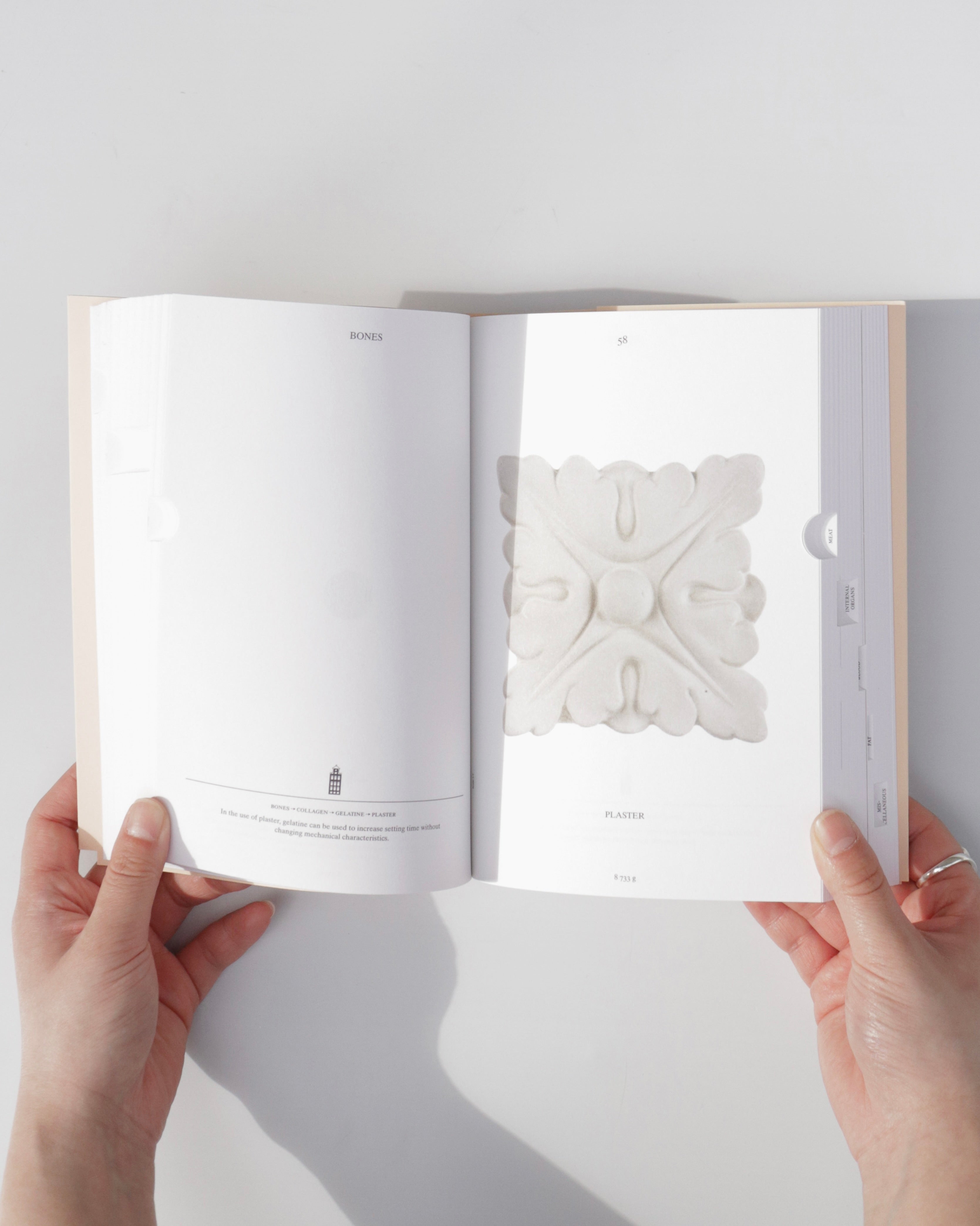 Pig 05049 / Christien Meindertsma