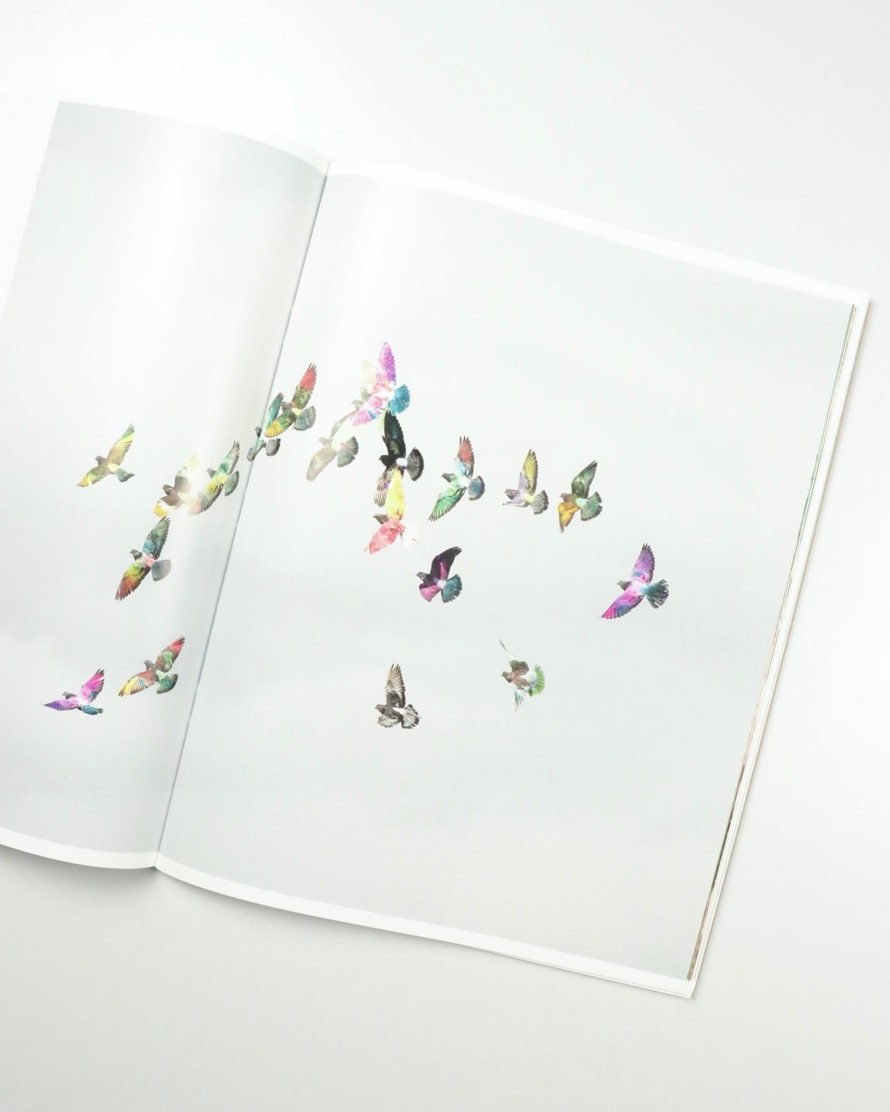 Picadero by Carlos Jaramillo