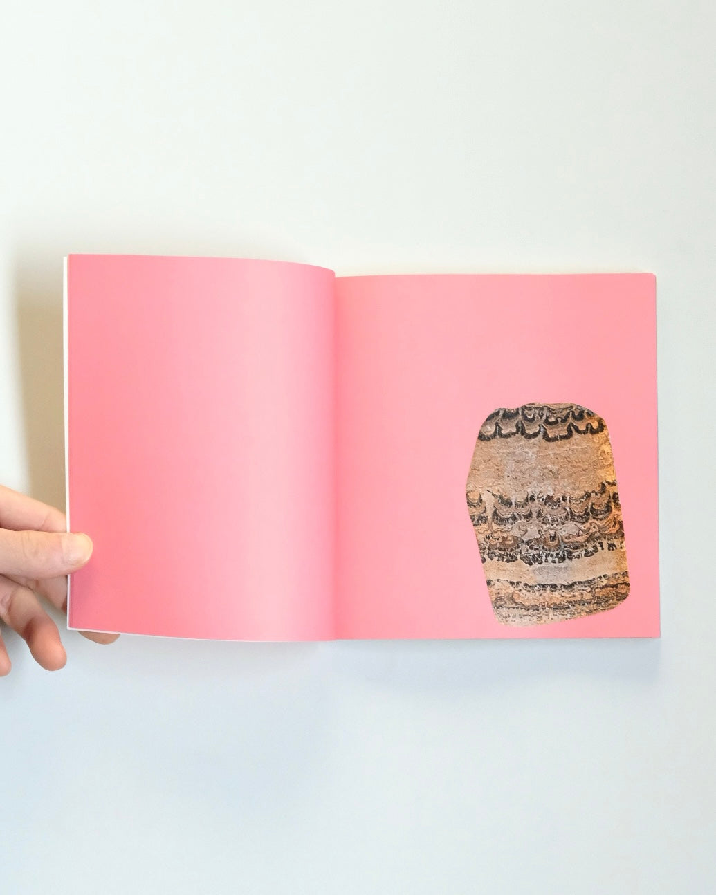 STICKERS by Anna Pasco Bolta