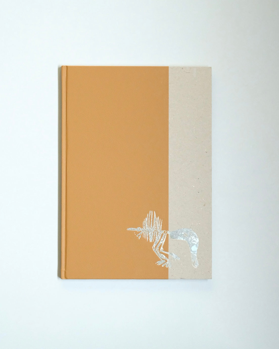 Diplodoclus 2014–2021 / LPPL with Åbäke