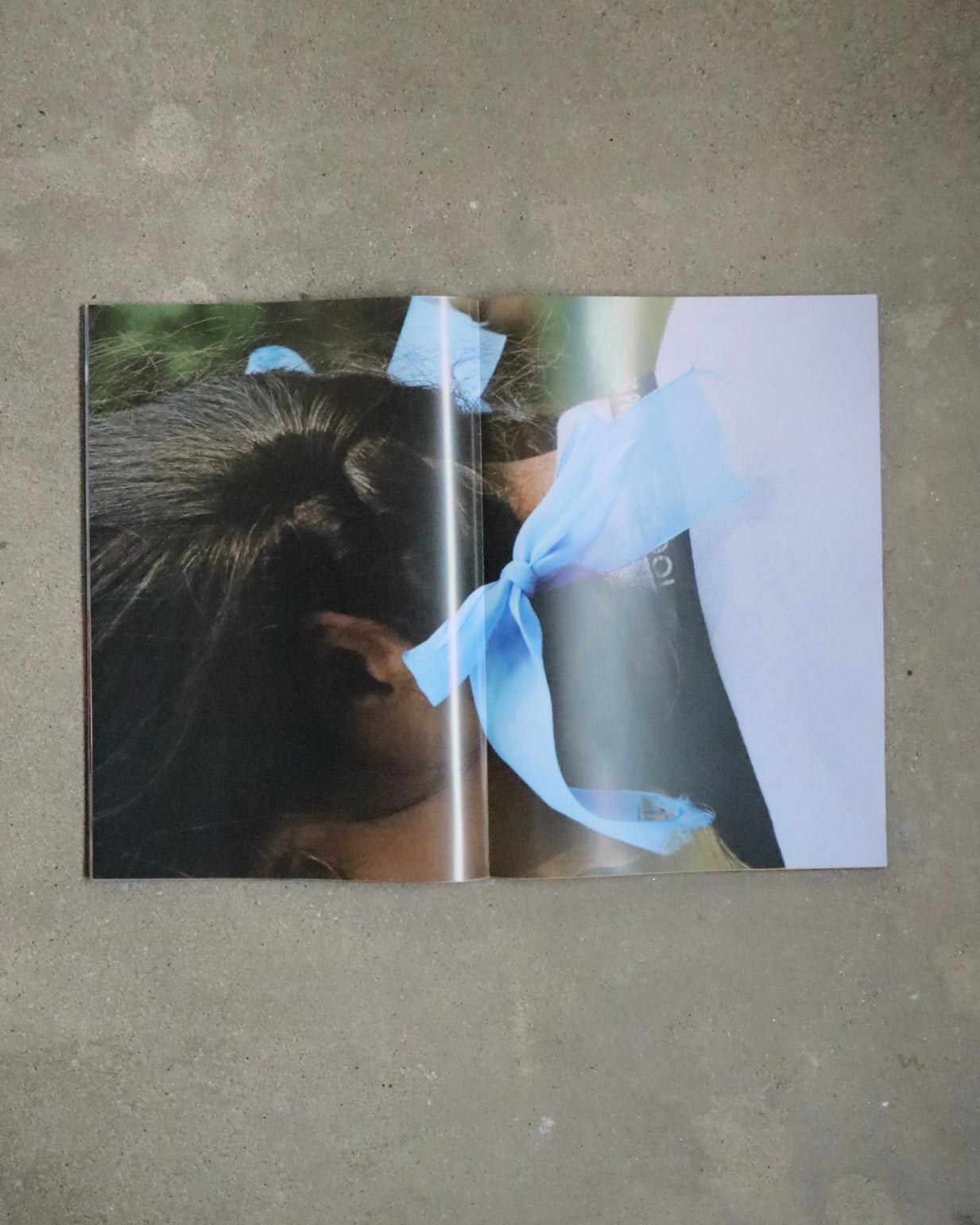 Lonneke van der Palen-Lemons Gazing at Mount Etna