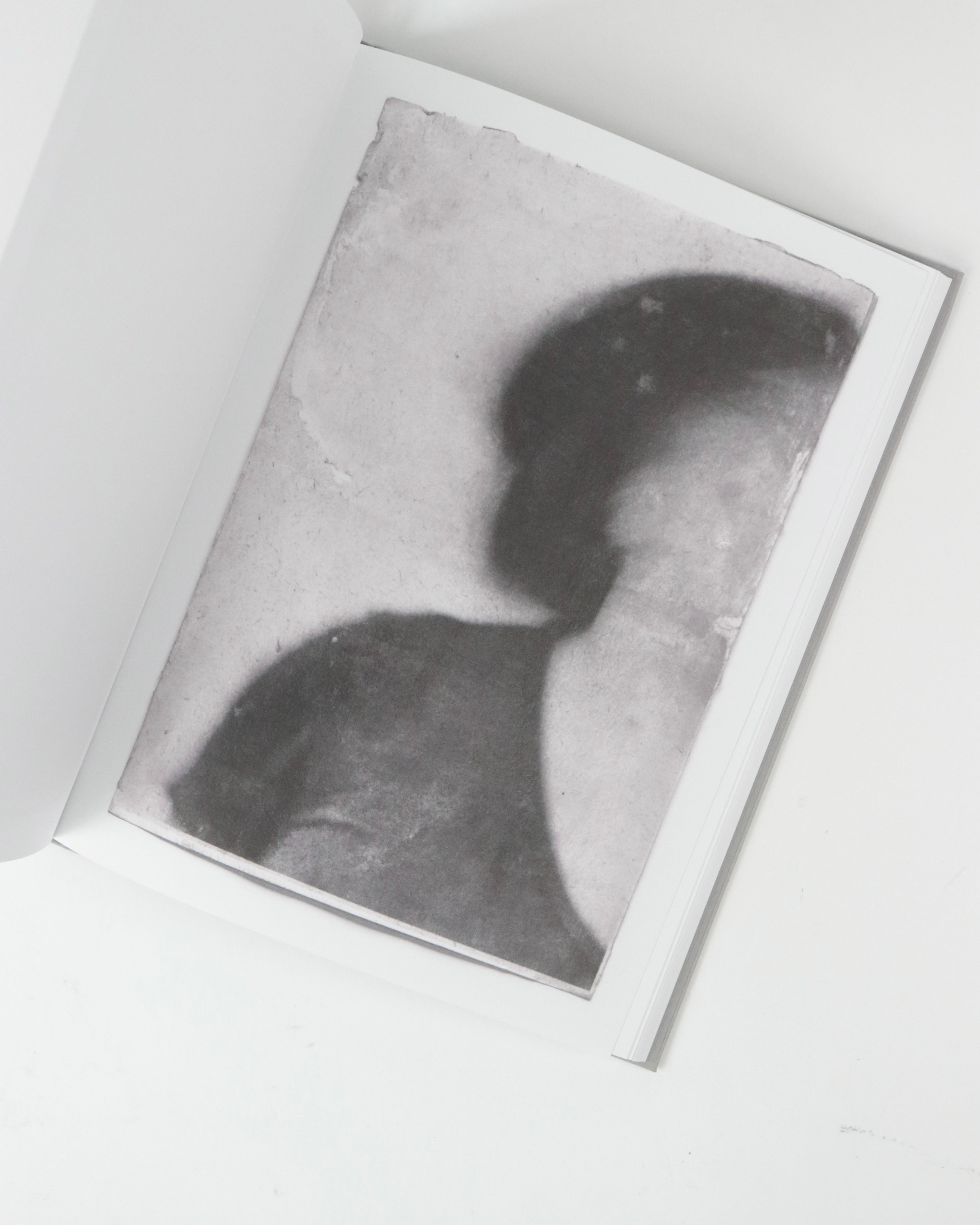 Sandra Brewster-Blur