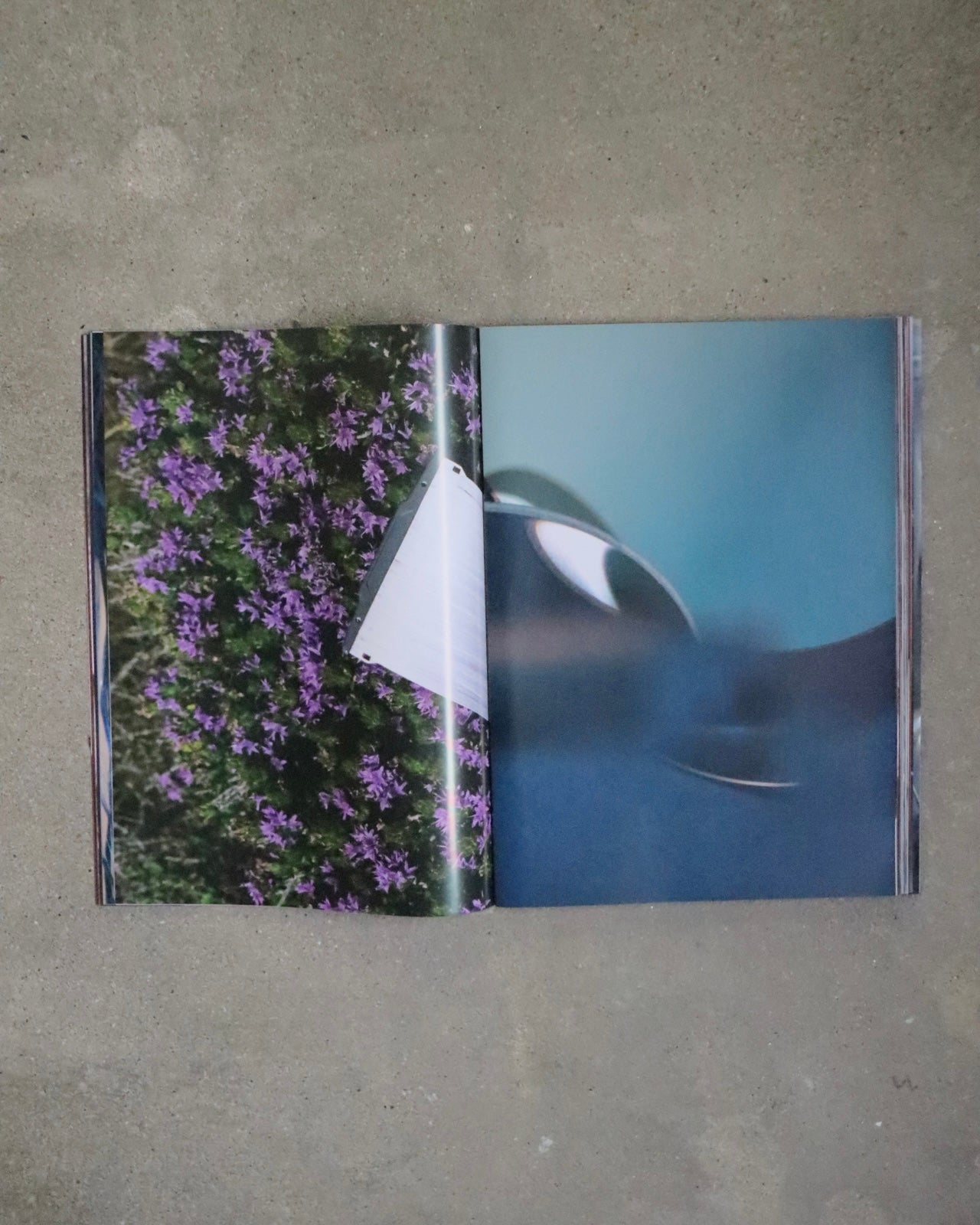 Lonneke van der Palen-Lemons Gazing at Mount Etna