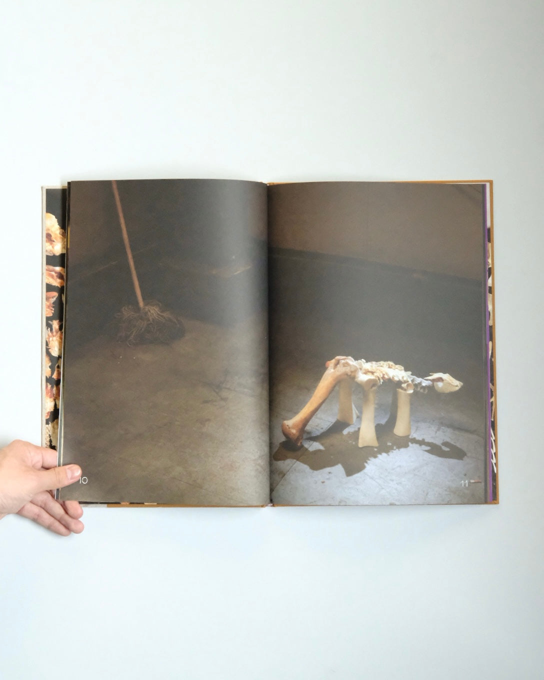 Diplodoclus 2014–2021 / LPPL with Åbäke