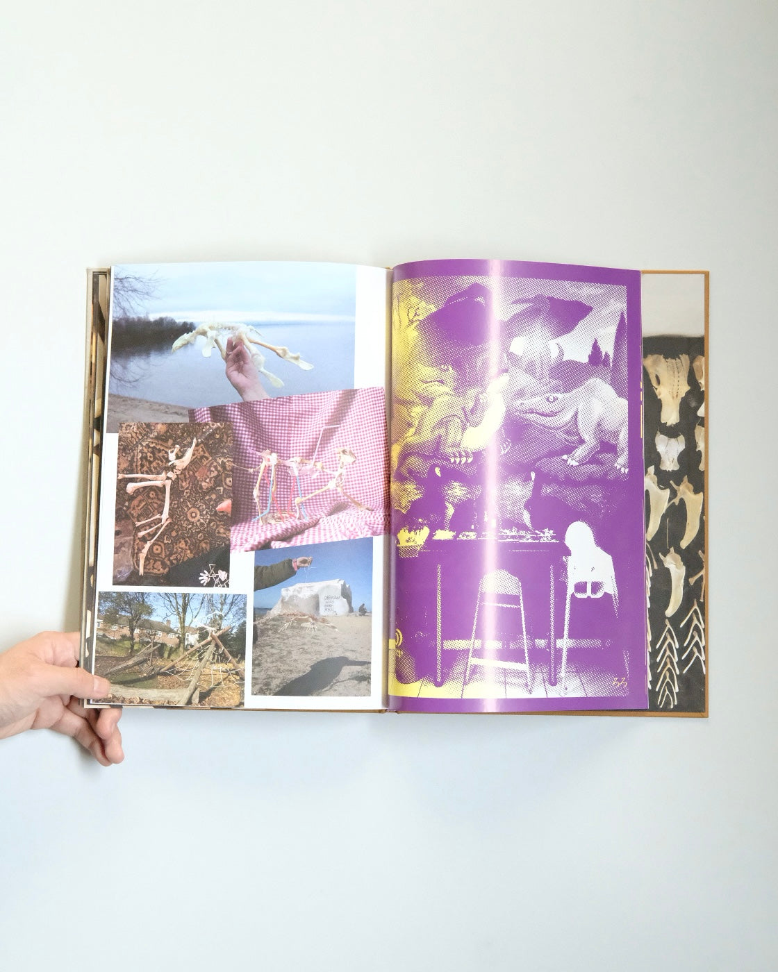 Diplodoclus 2014–2021 / LPPL with Åbäke