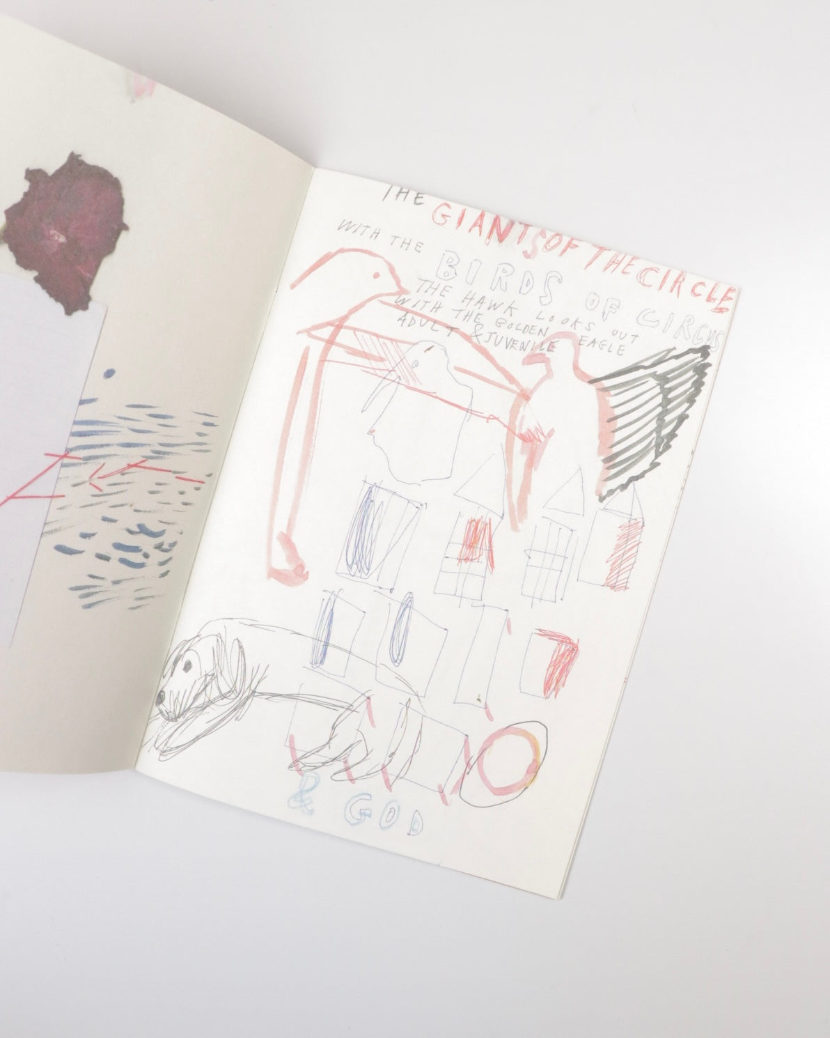 In the Sunset – There Is Life – It Shines on Us/Susan Cianciolo