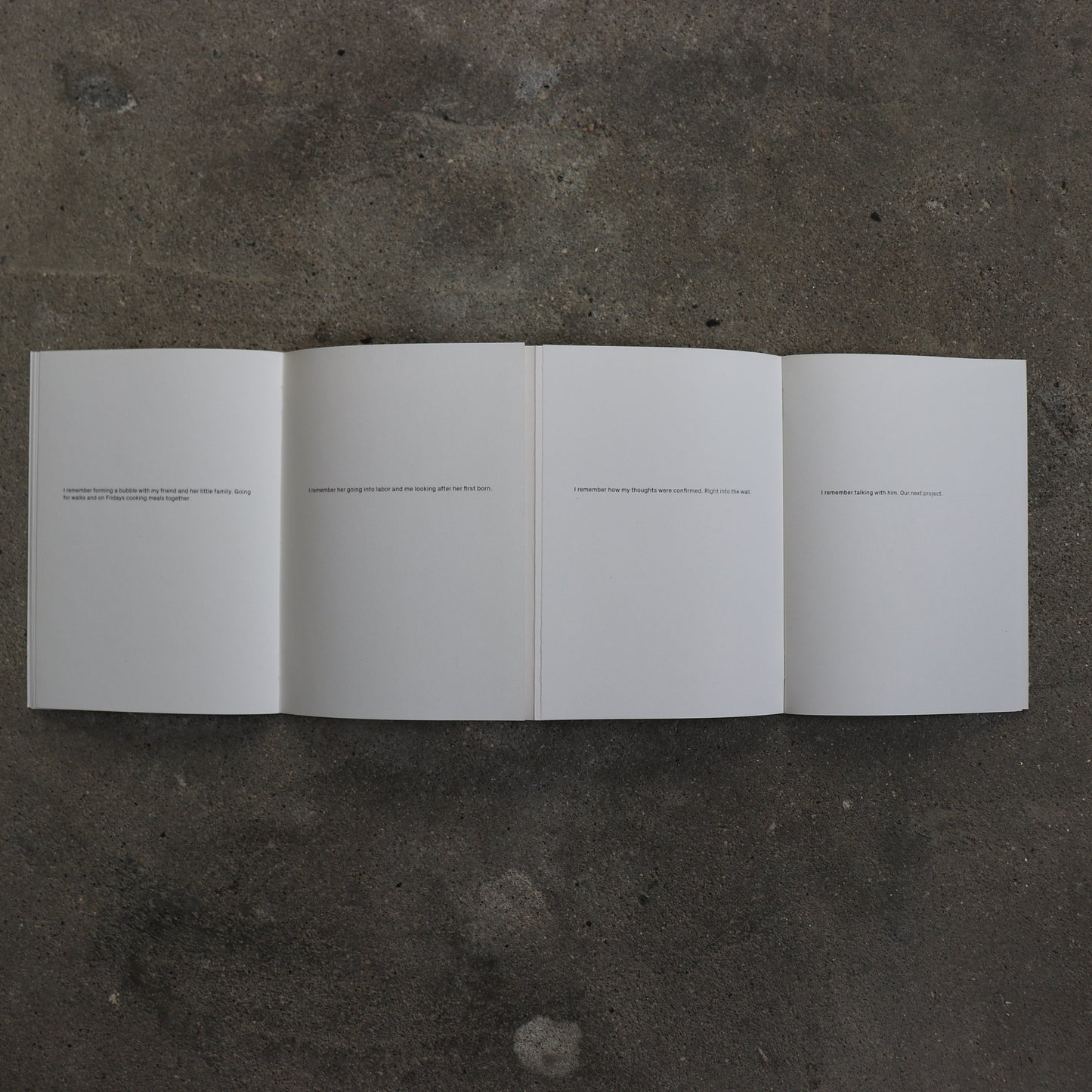 What Remains / Corinne Vionnet, Rahel Zoller