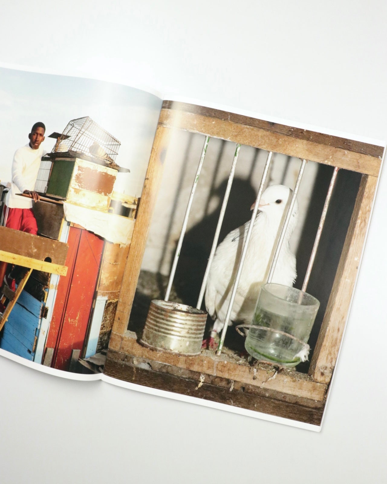 Picadero by Carlos Jaramillo