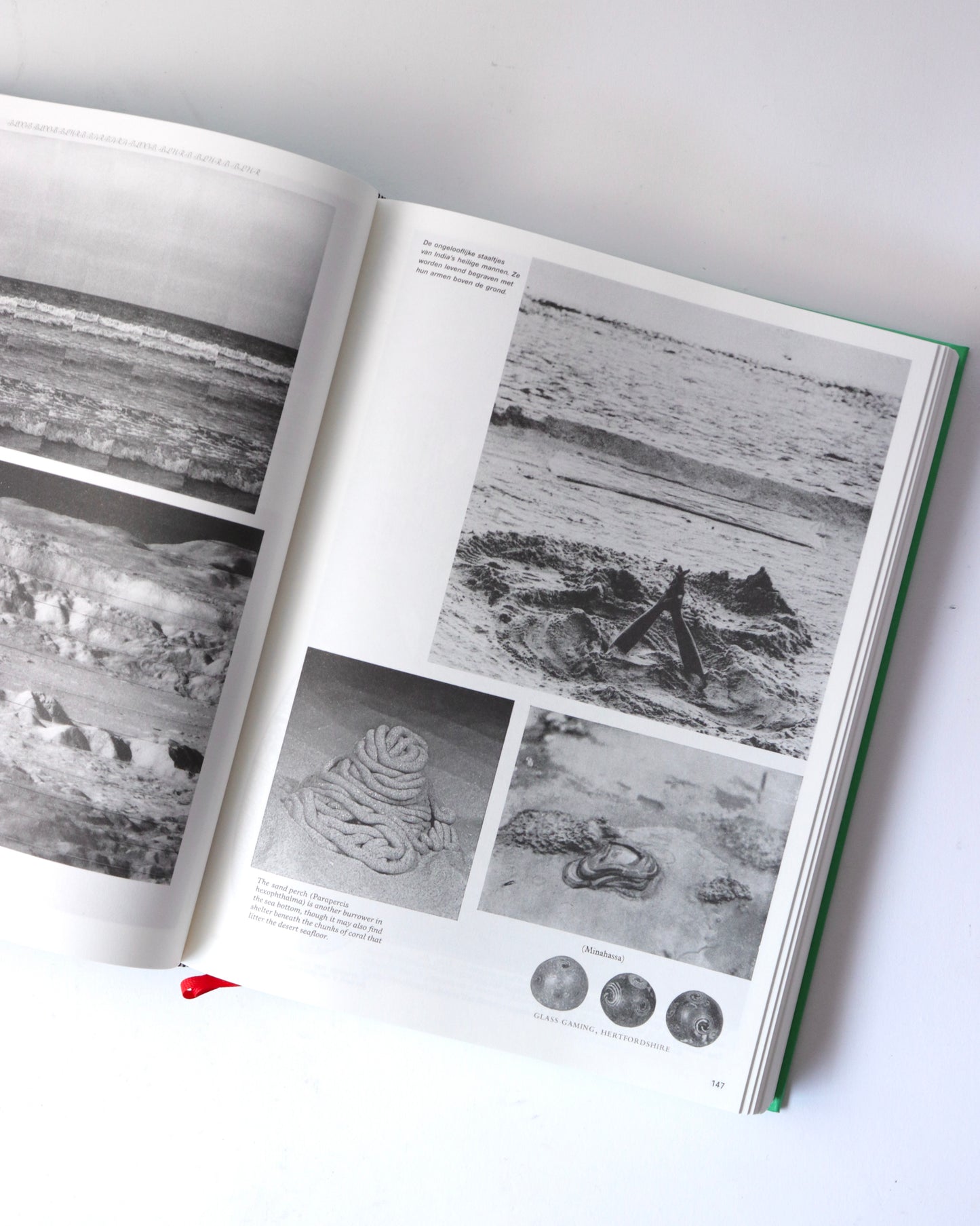 Batia Suter-Parallel Encyclopedia 2