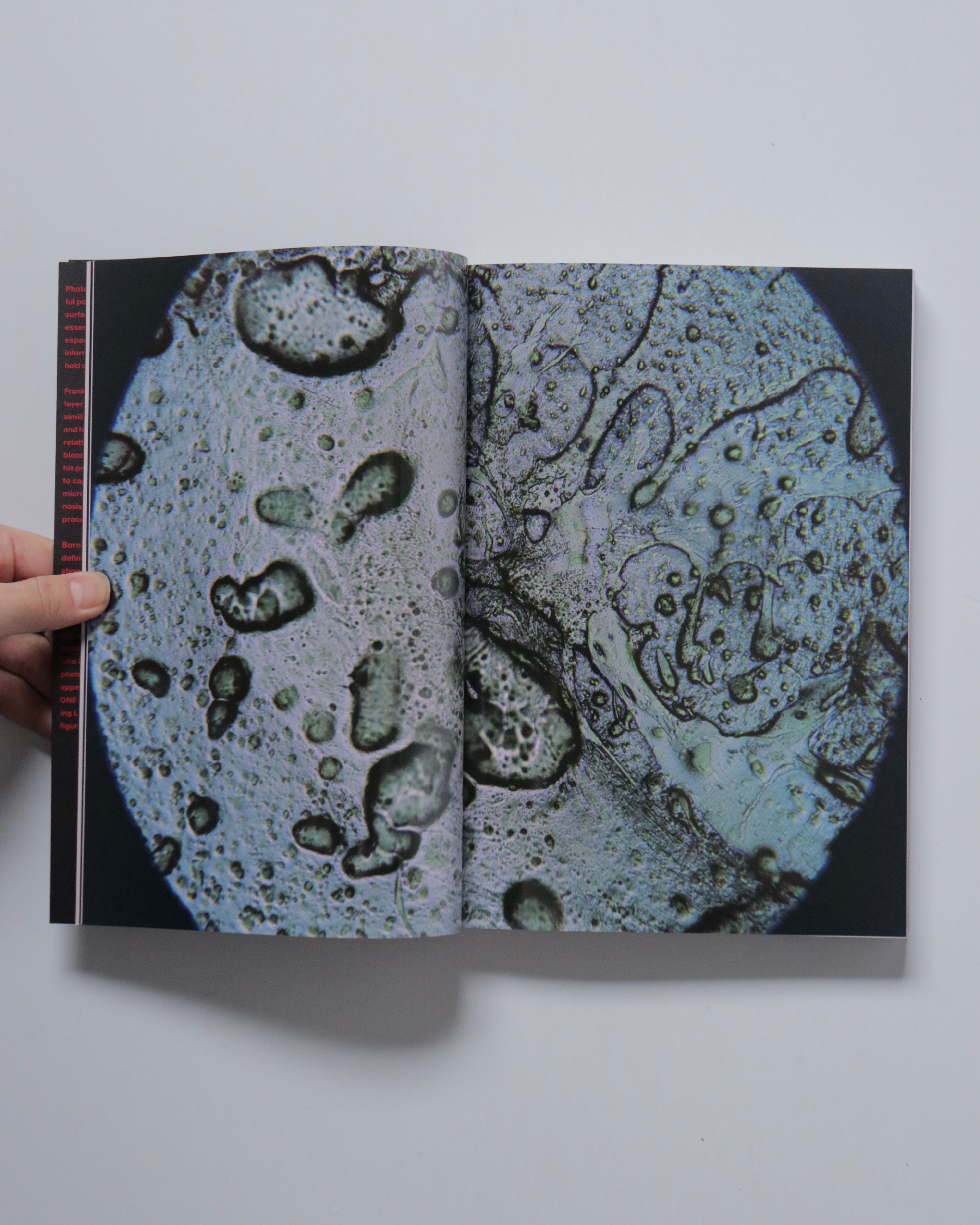 ONE BLOOD by Frank Levon