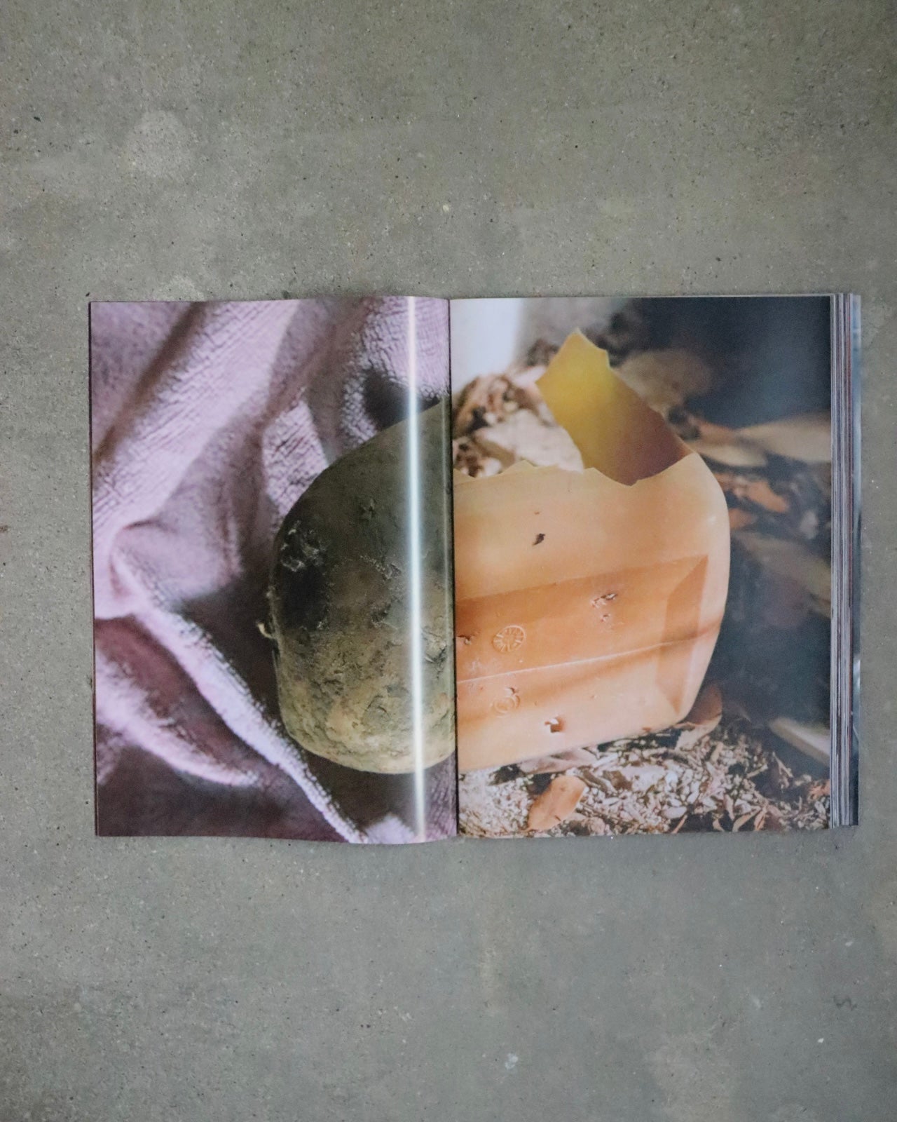 Lonneke van der Palen-Lemons Gazing at Mount Etna