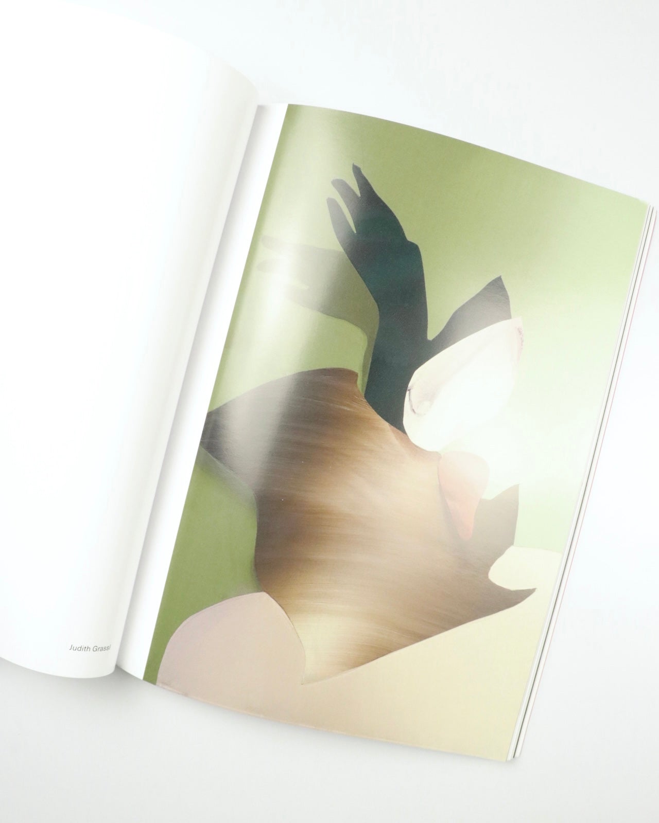 The Light Observer The Prospective Issue -n°04