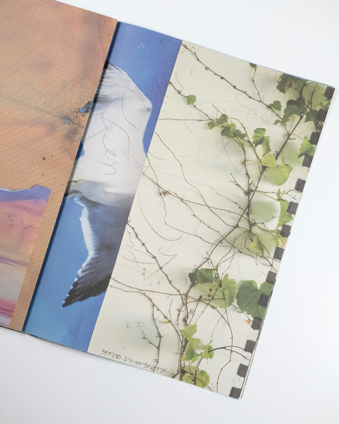 VANISHING POINT exhibition in liminal zone / Kanade Hamamoto : 濵本 奏