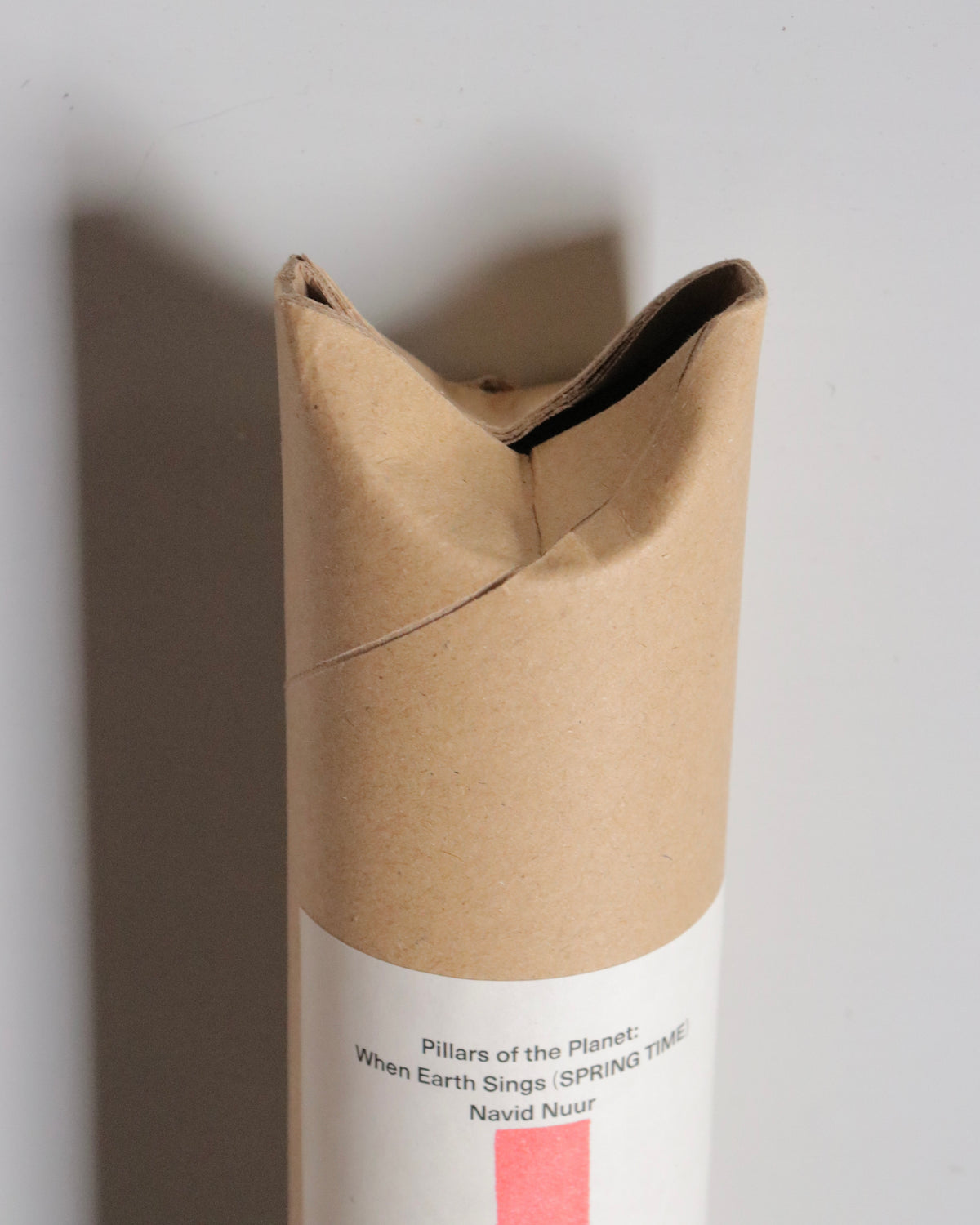 Pillars of the Planet: When Earth Sings (SPRING TIME) / Navid Nuur