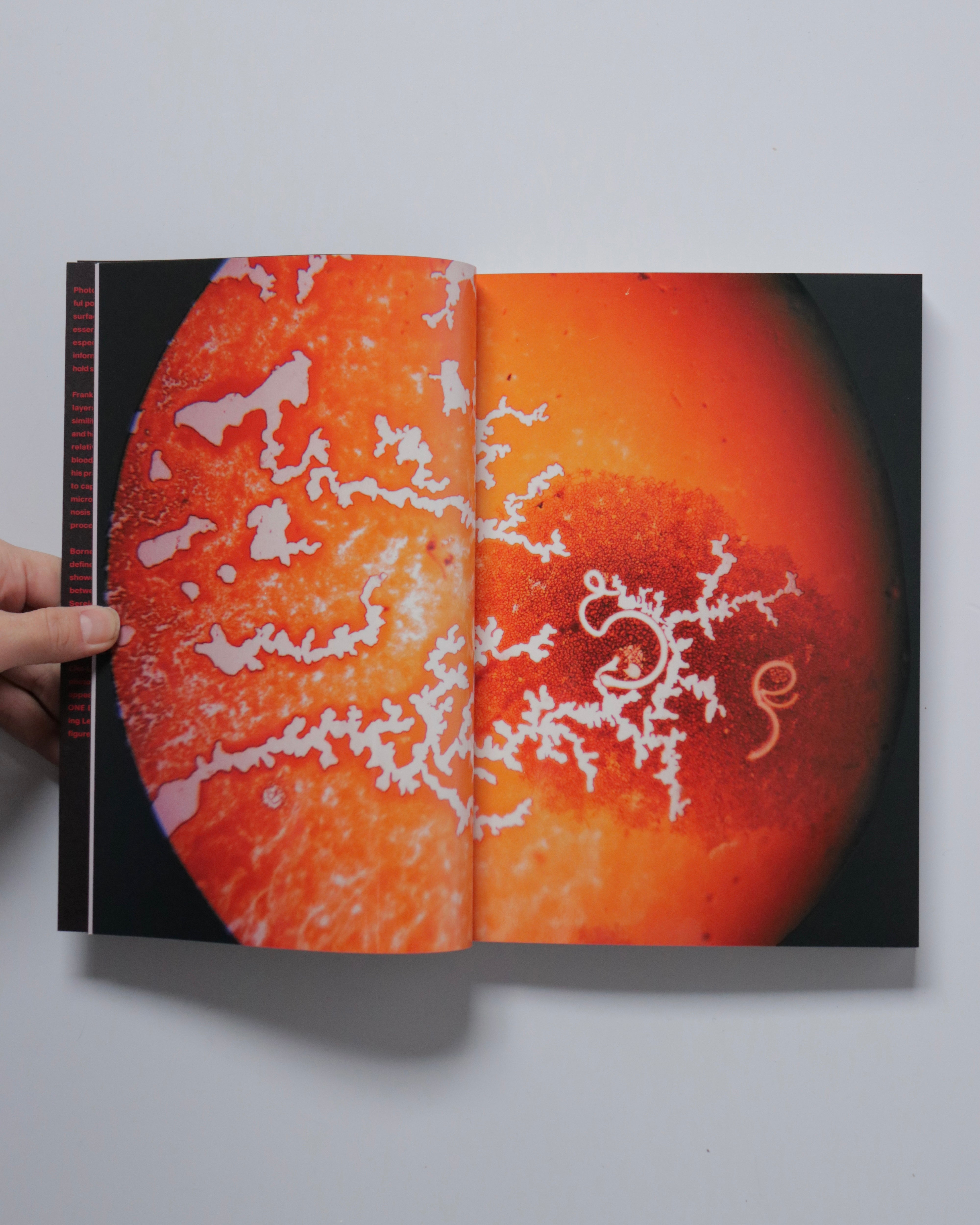 ONE BLOOD by Frank Levon