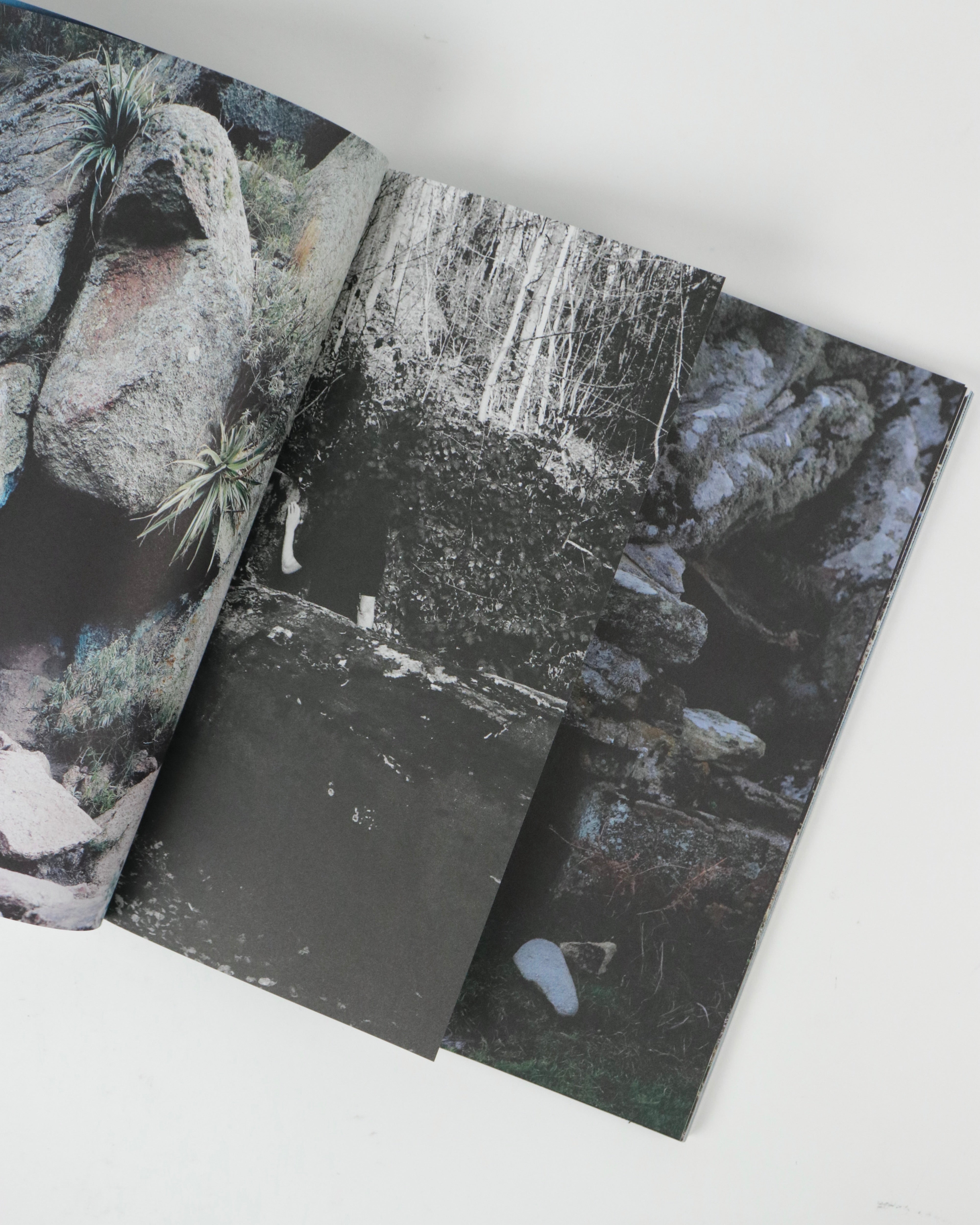 Stephanie Roland-Isles of seven cities