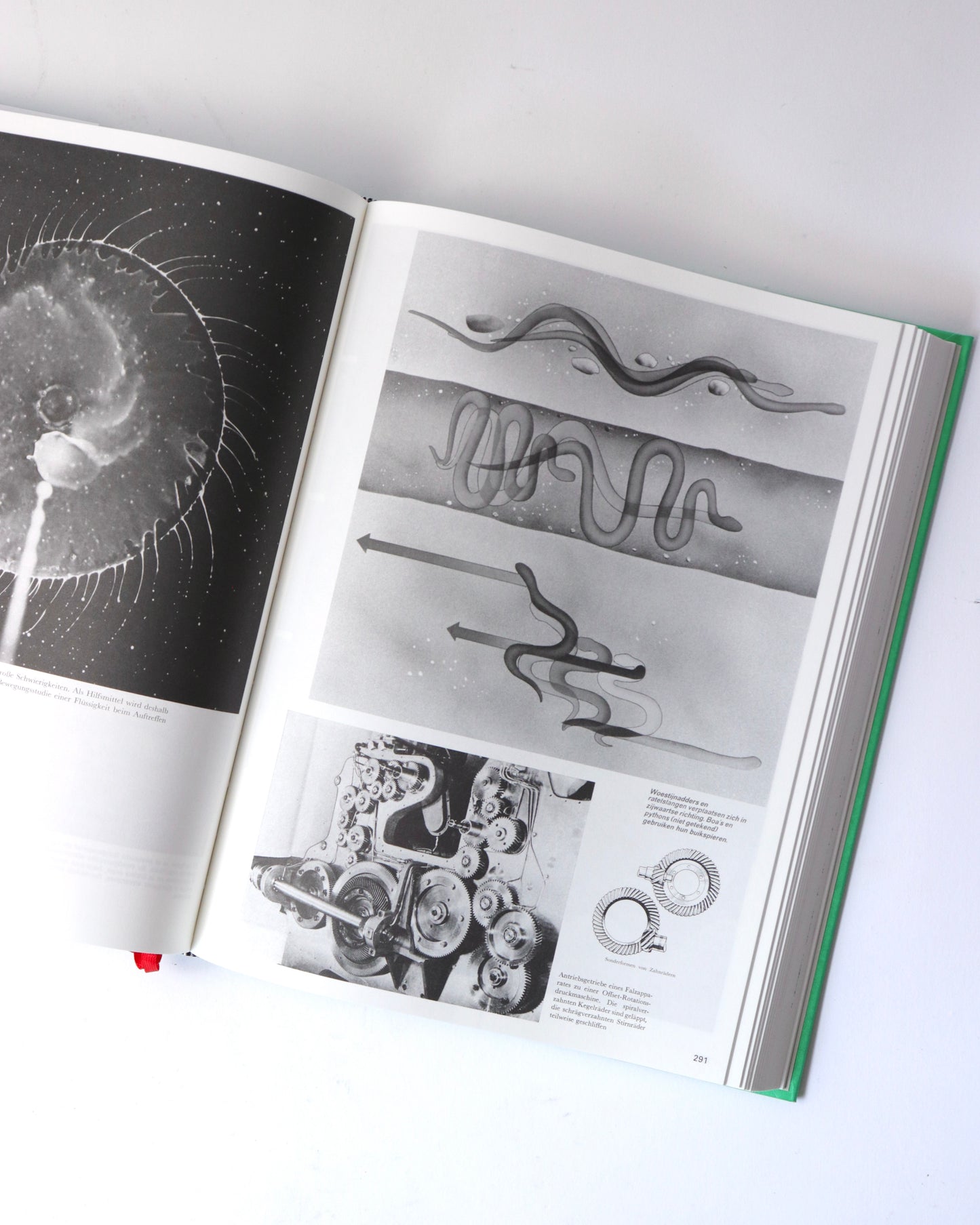 Batia Suter-Parallel Encyclopedia 2