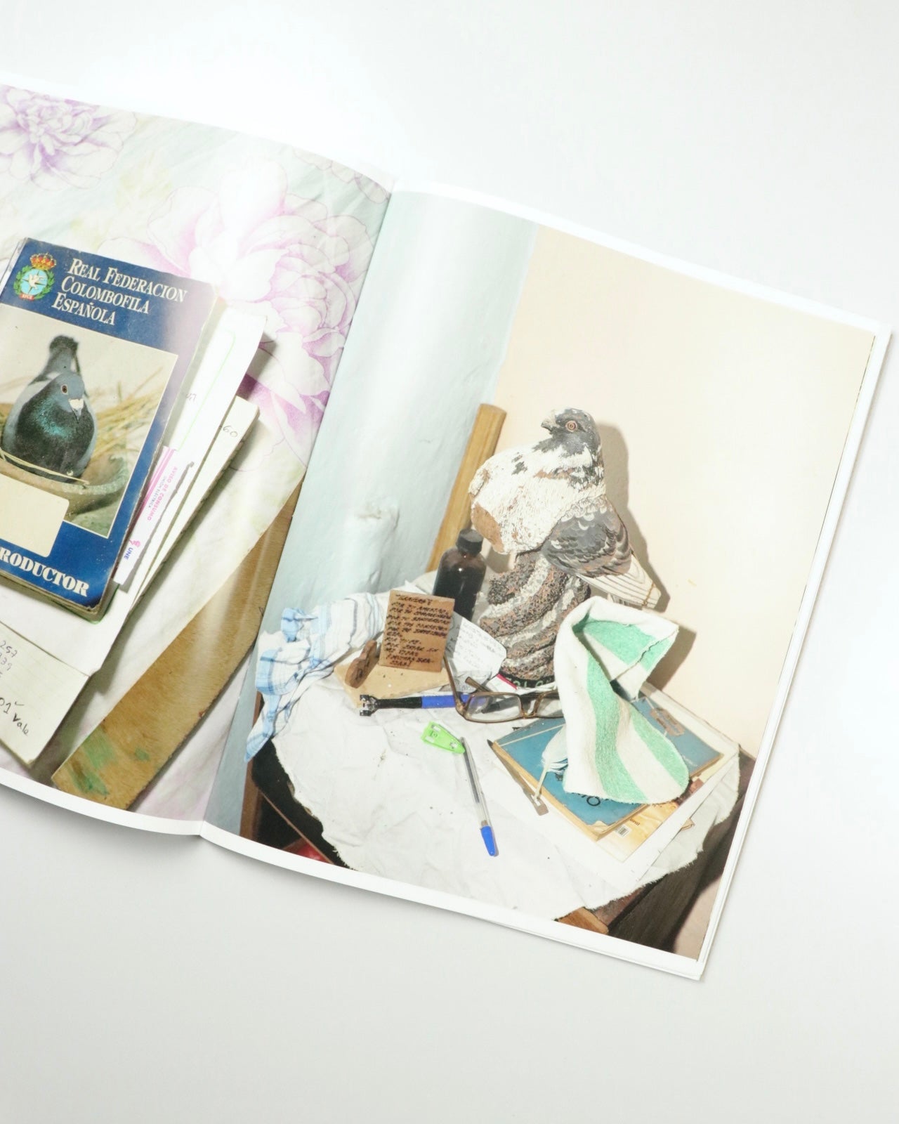 Picadero by Carlos Jaramillo