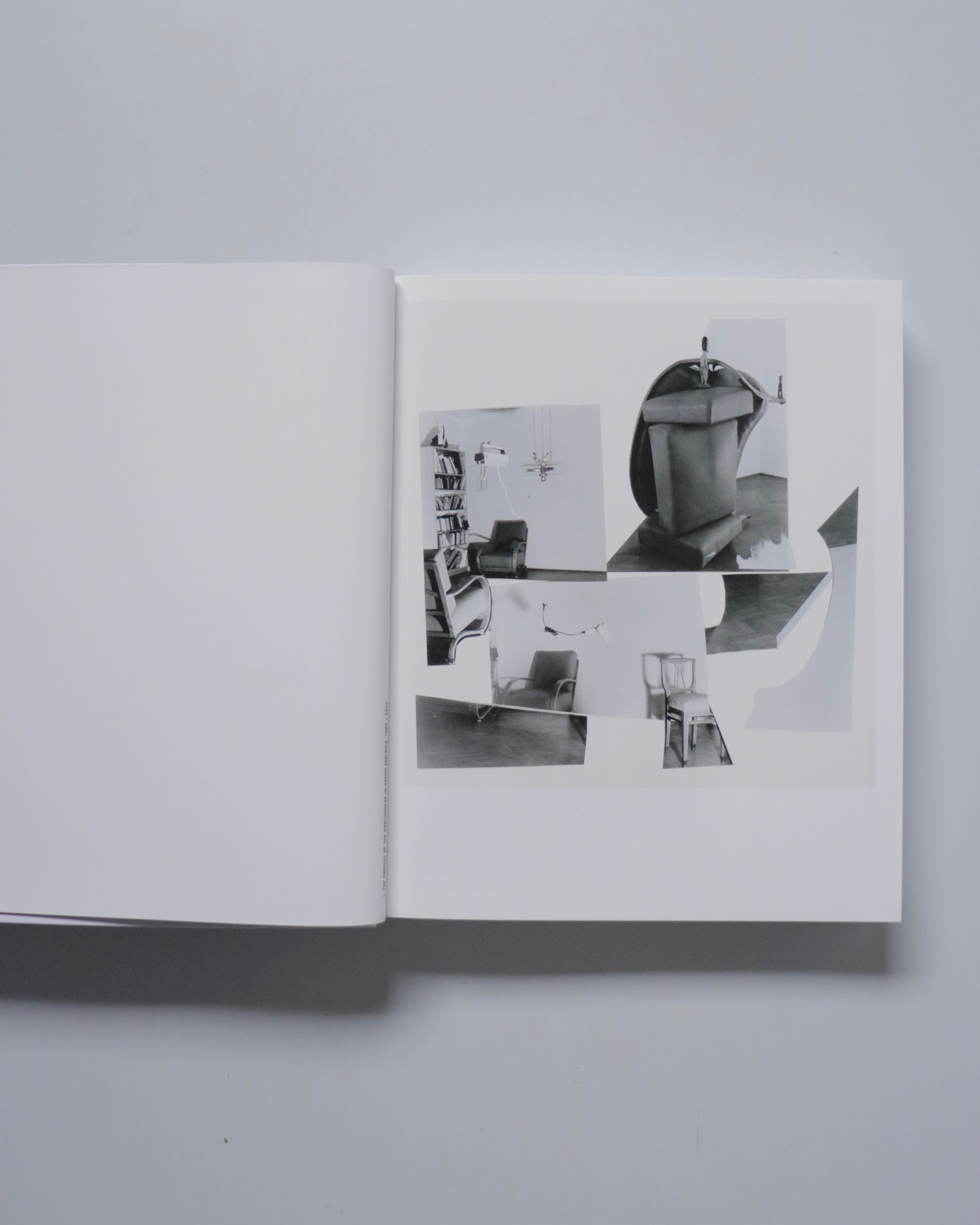 Erwin Wurm Photographs