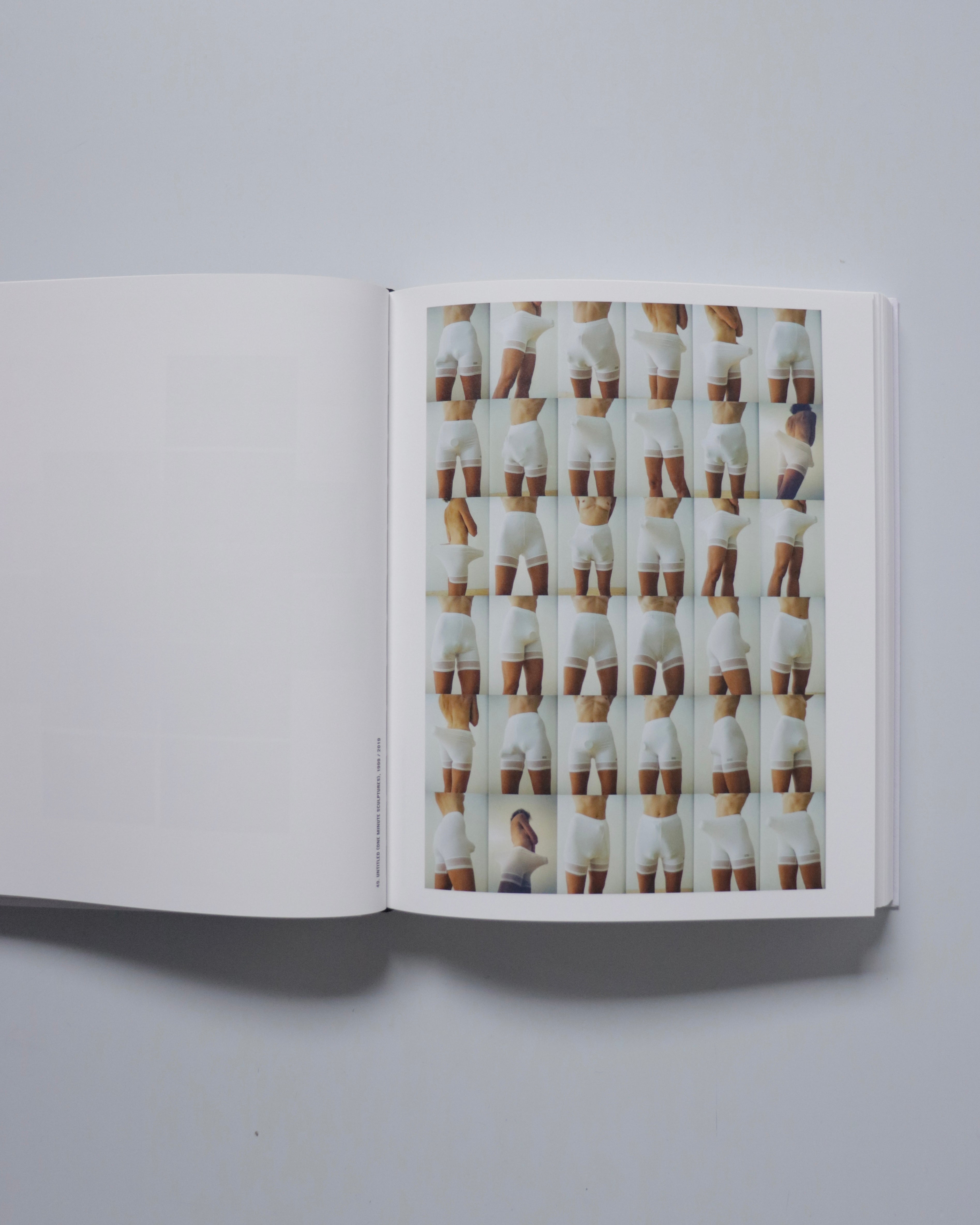 Erwin Wurm Photographs