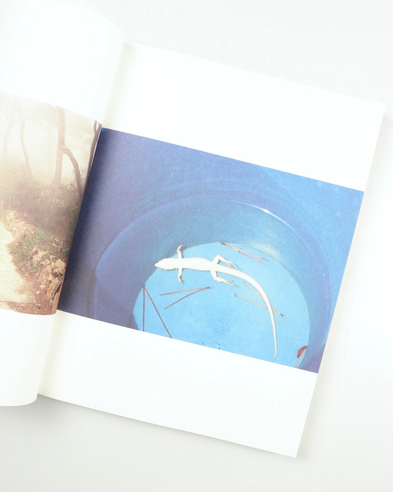 Ibiza Memories / Henry Roy