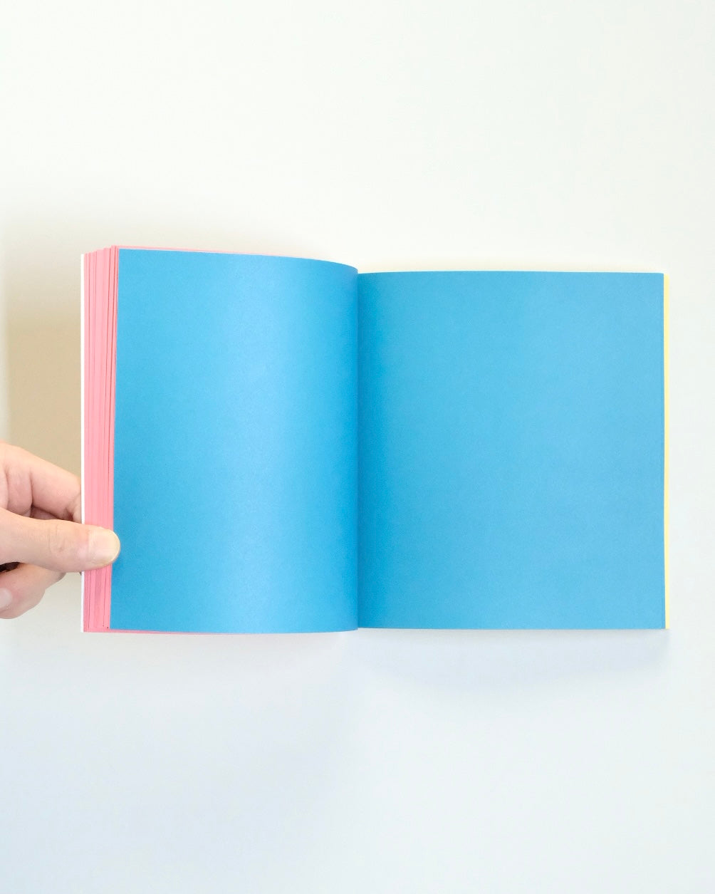 STICKERS by Anna Pasco Bolta