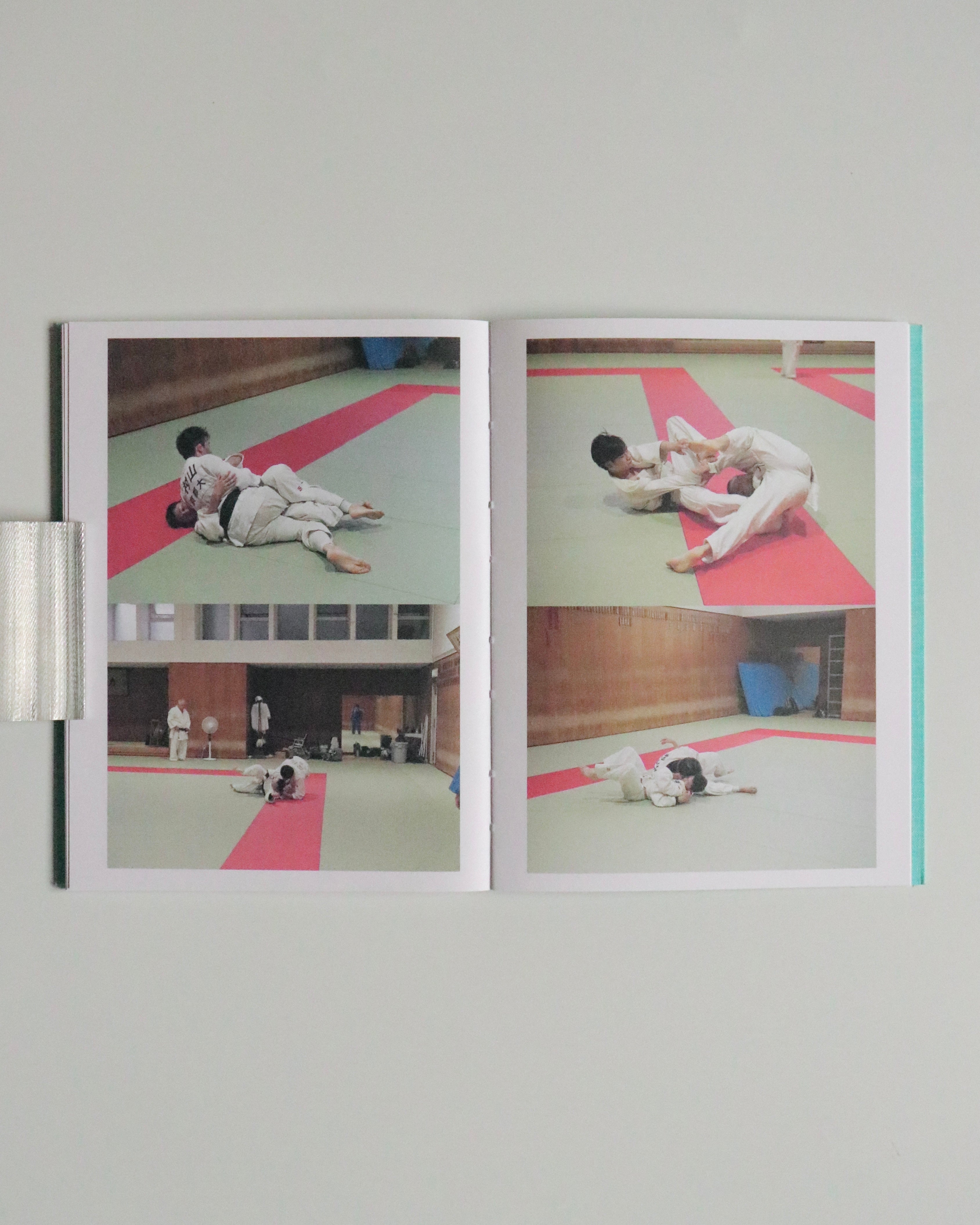 Sumo Judo / Ari Marcopoulos